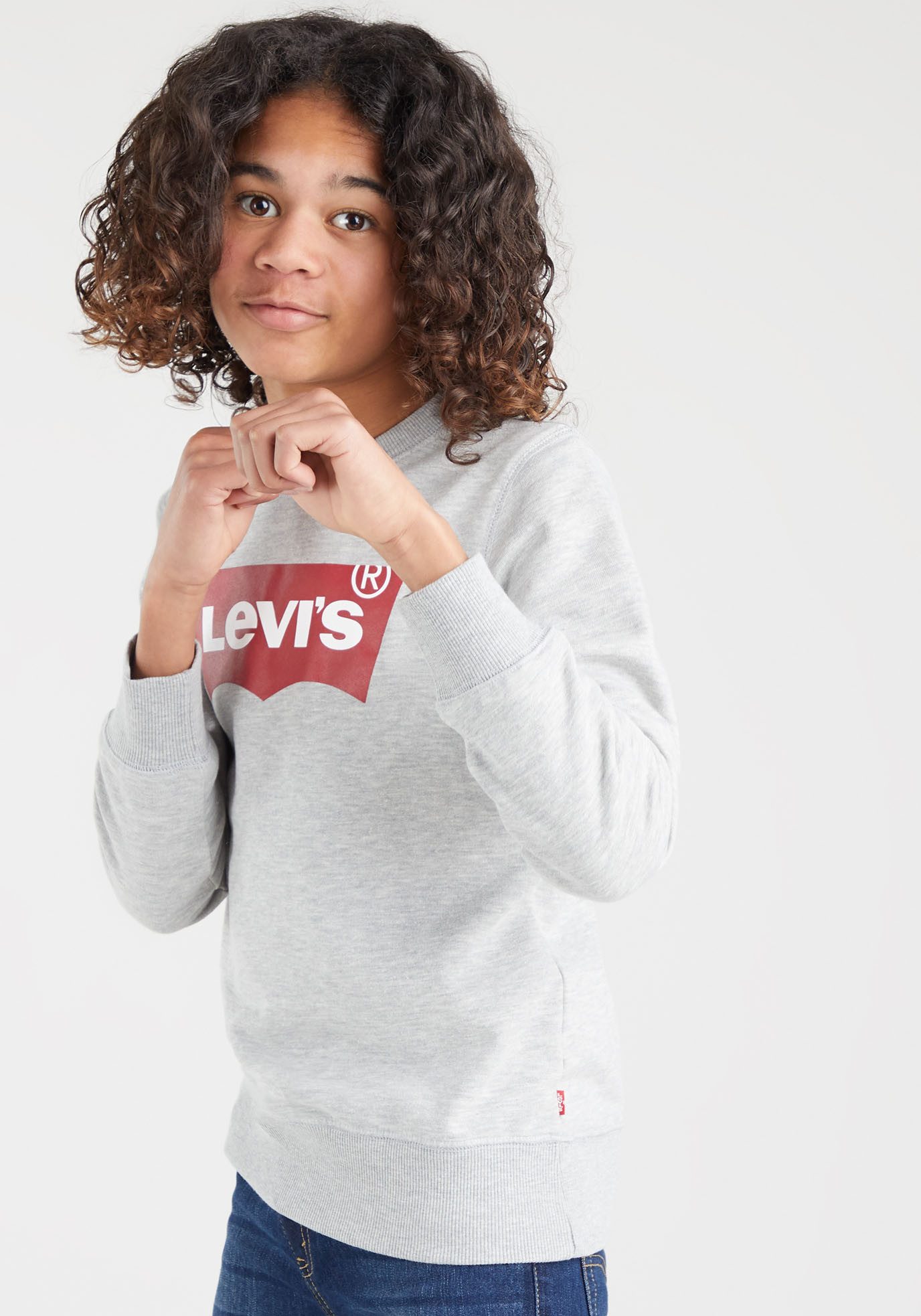 Levi's Kidswear Sweatshirt LVB LVB FRENCH TERRY BATWING