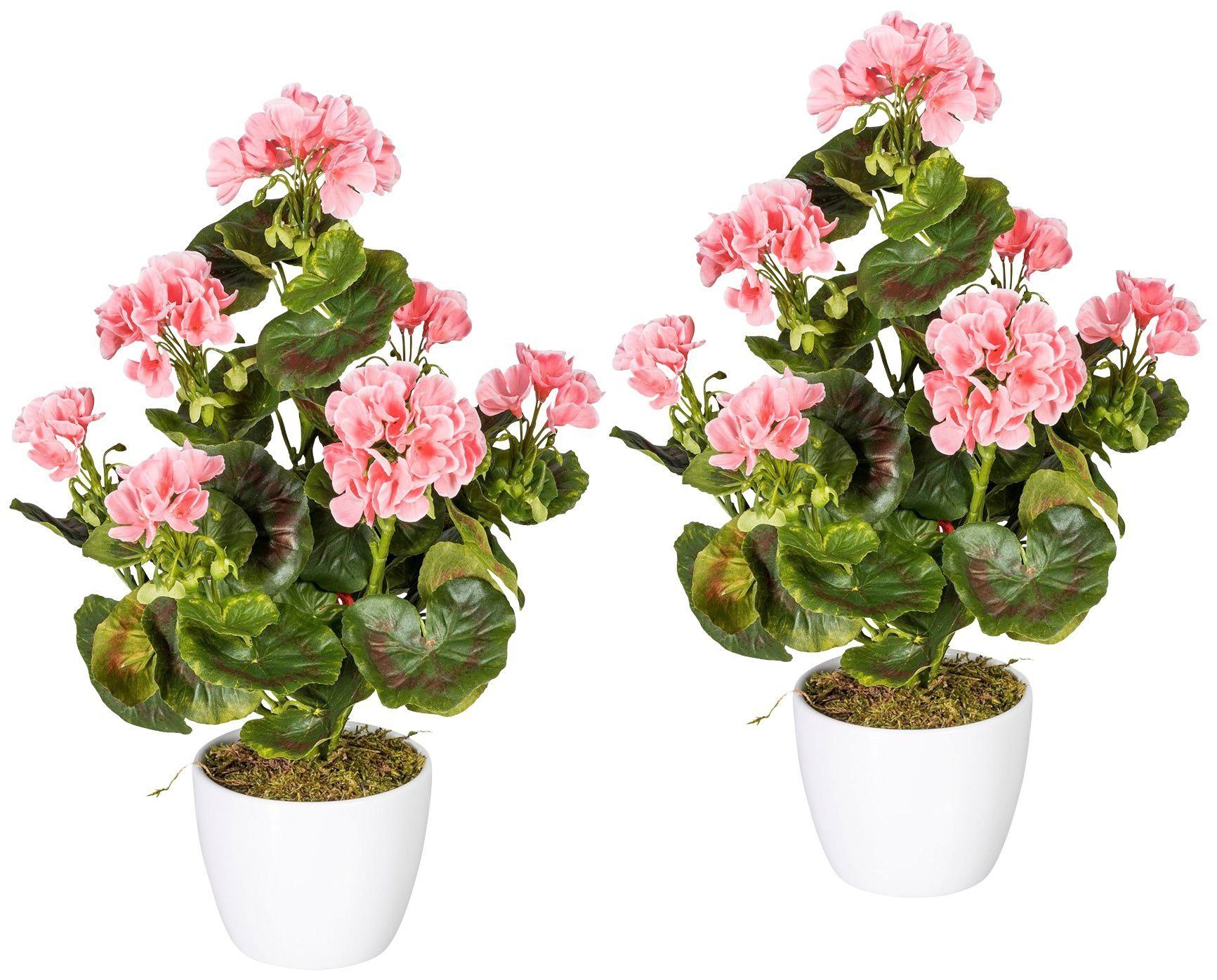 Creativ green Kunstplant Geranium, rood in een keramische pot (set, 2 stuks) kunstplanten rood