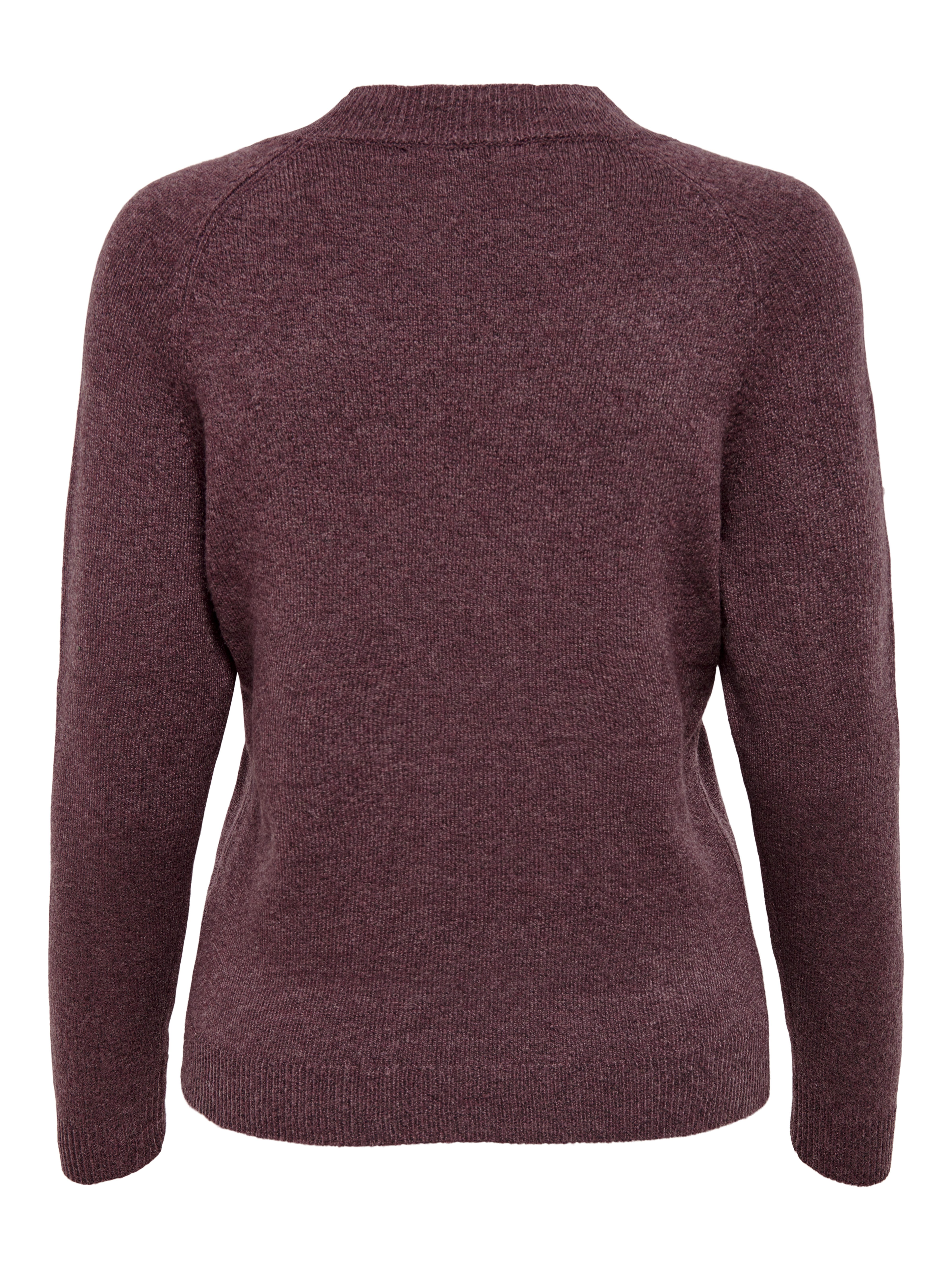 Only Trui met ronde hals ONLRICA LIFE L/S PULLOVER KNT NOOS