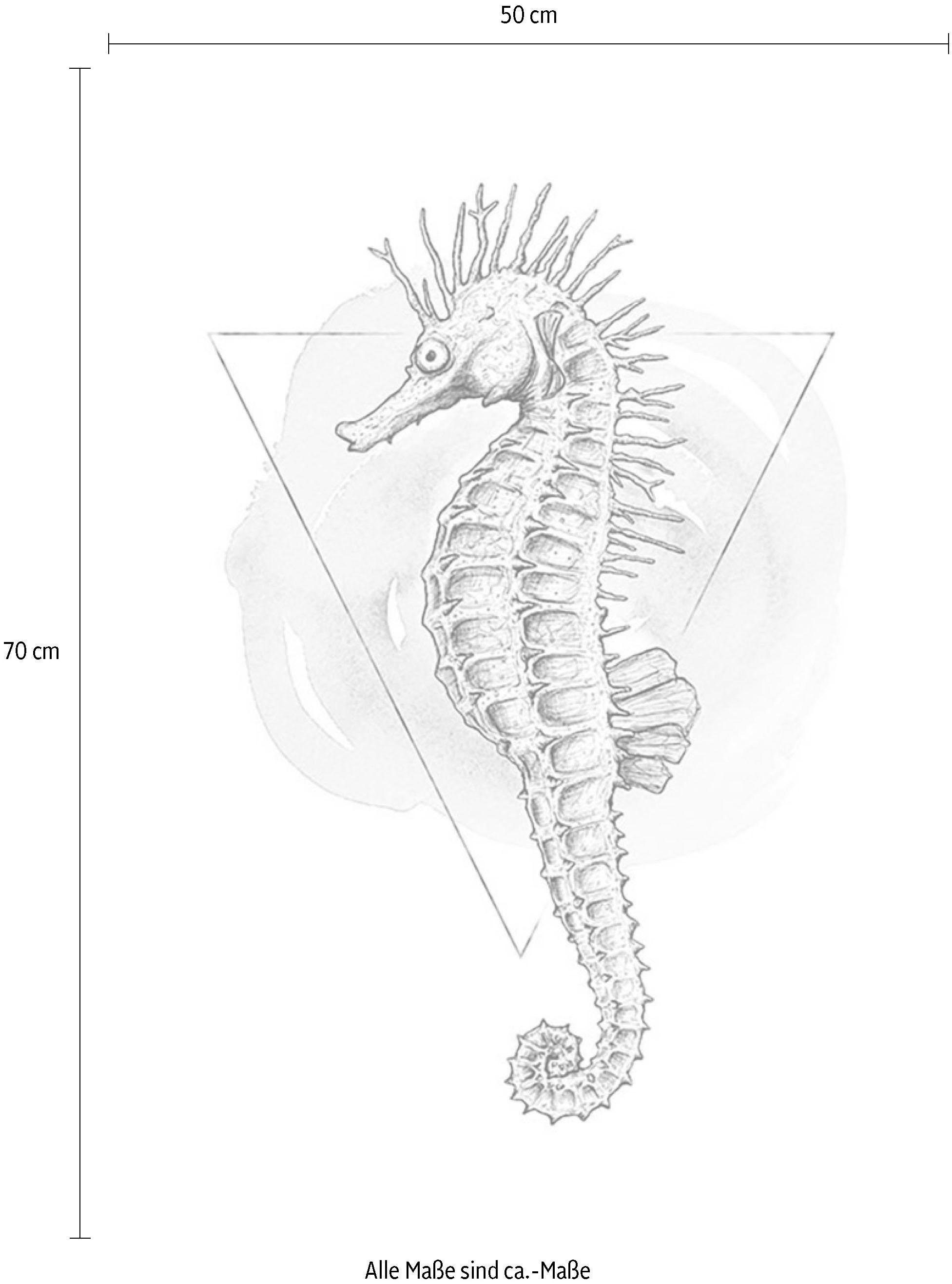Komar Wanddecoratie Sea Horse Watercolor Wanddecoratie - zonder lijst (1 stuk)