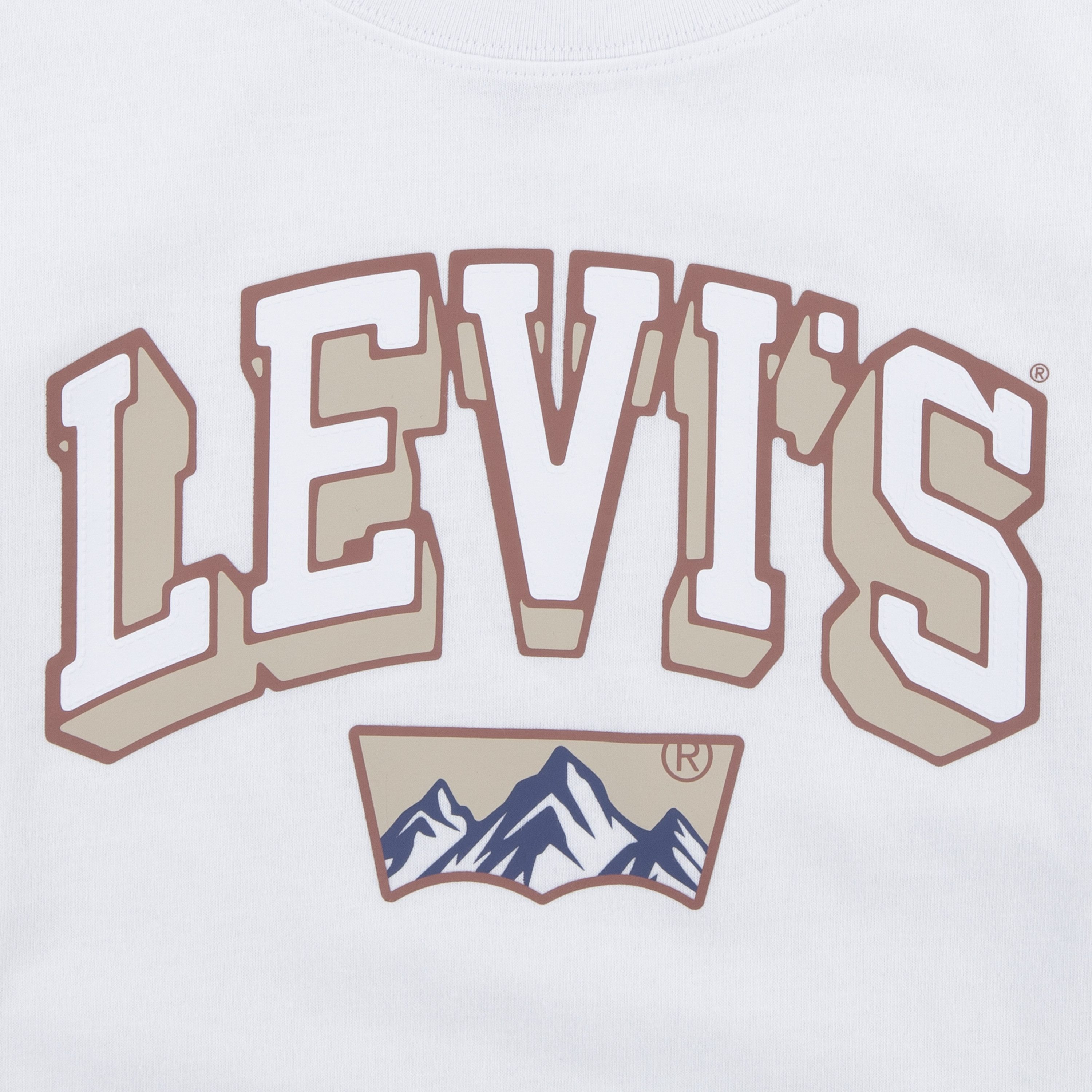 Levi's Kidswear Shirt met lange mouwen