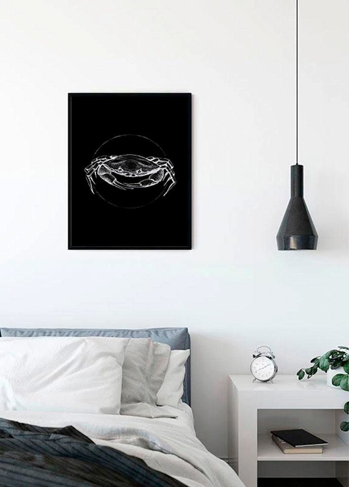 Komar Wanddecoratie Crab black Wanddecoratie - zonder lijst (1 stuk)