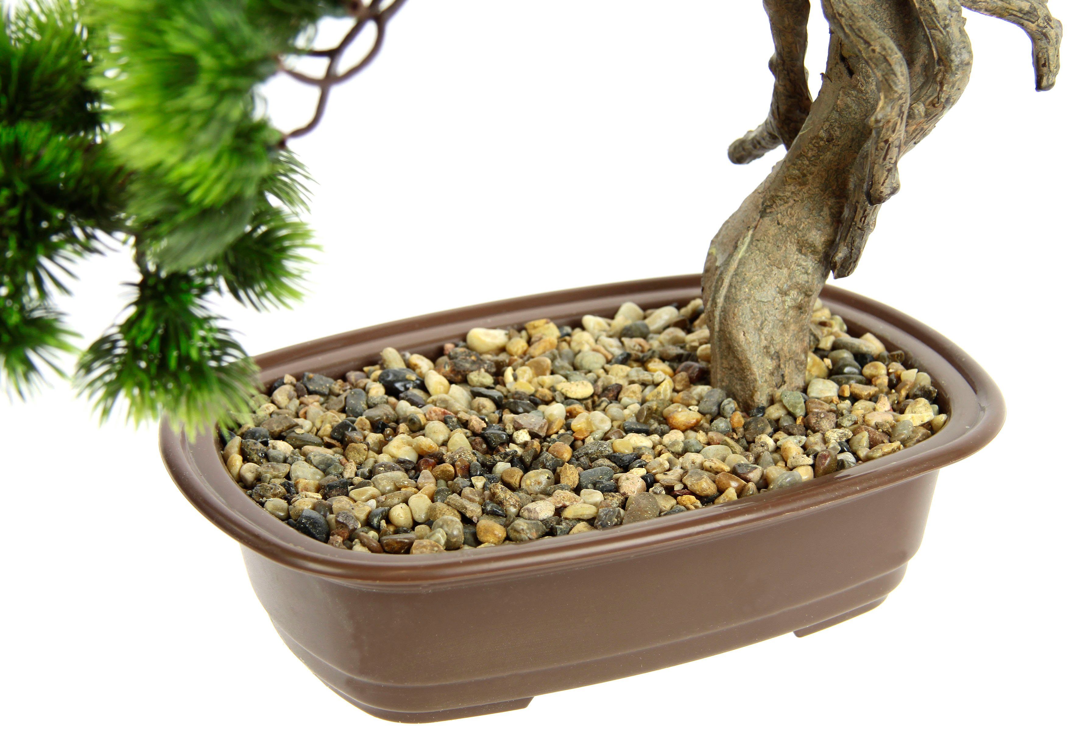I.GE.A. Kunstplant Bonsai boom in schaal Exotische bomen, Zen-tuin (1 stuk)