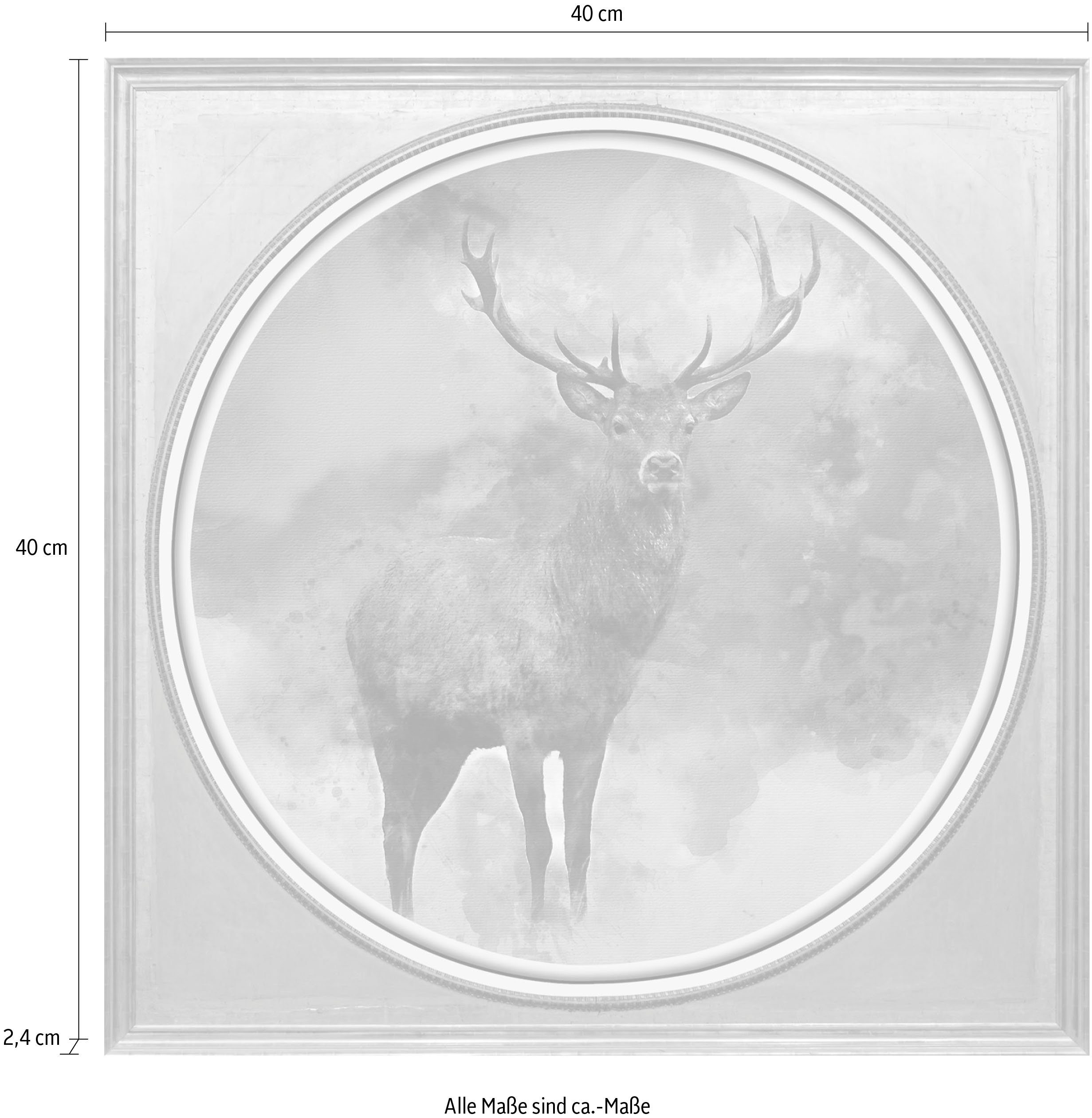queence Artprint op acrylglas Edelhert Fine Art-print in galeriekwaliteit