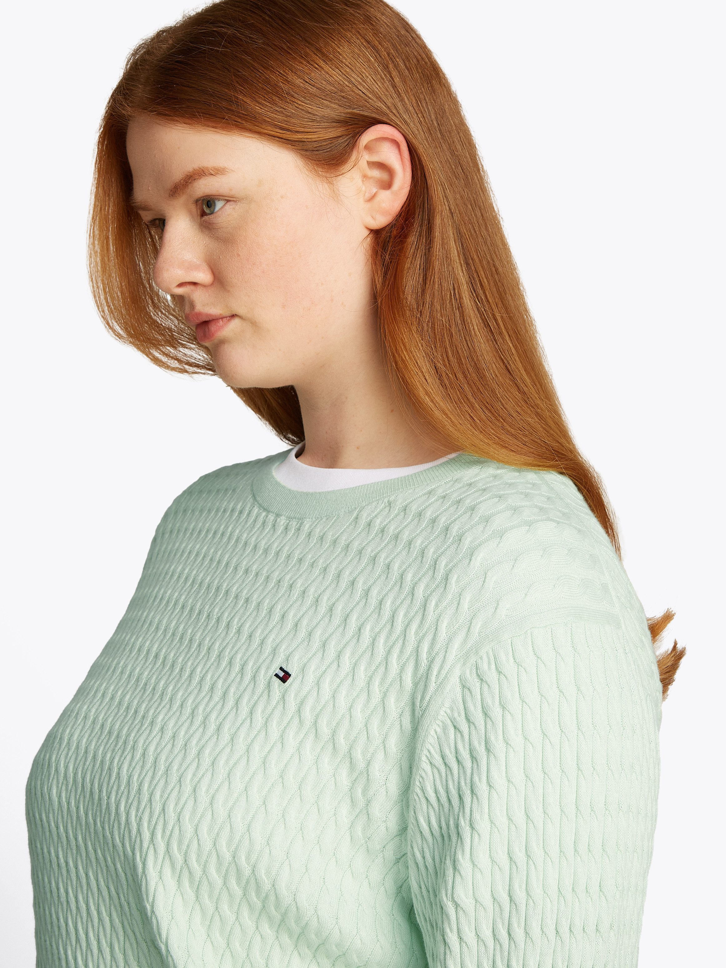 Tommy Hilfiger Curve Trui met ronde hals CRV CO CABLE C-NK LS SWEATER in grote maten, kabelpatroon, logoborduursel
