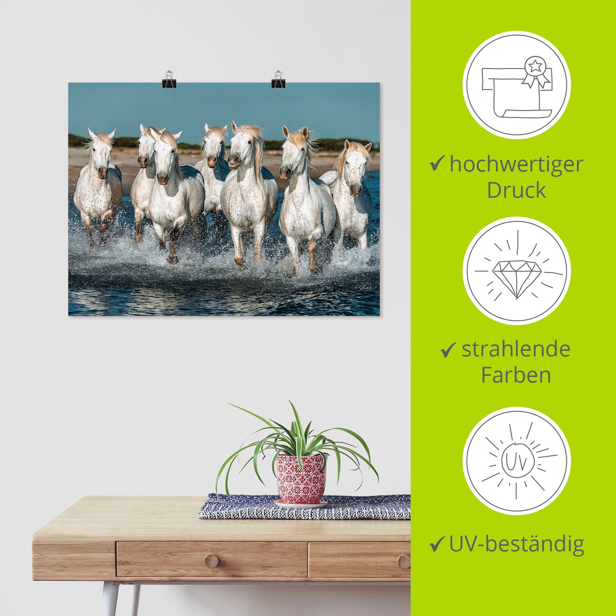 Artland Artprint Camargue paarden galopperen op het strand als artprint van aluminium, artprint voor buiten, artprint op linnen, poster, muursticker
