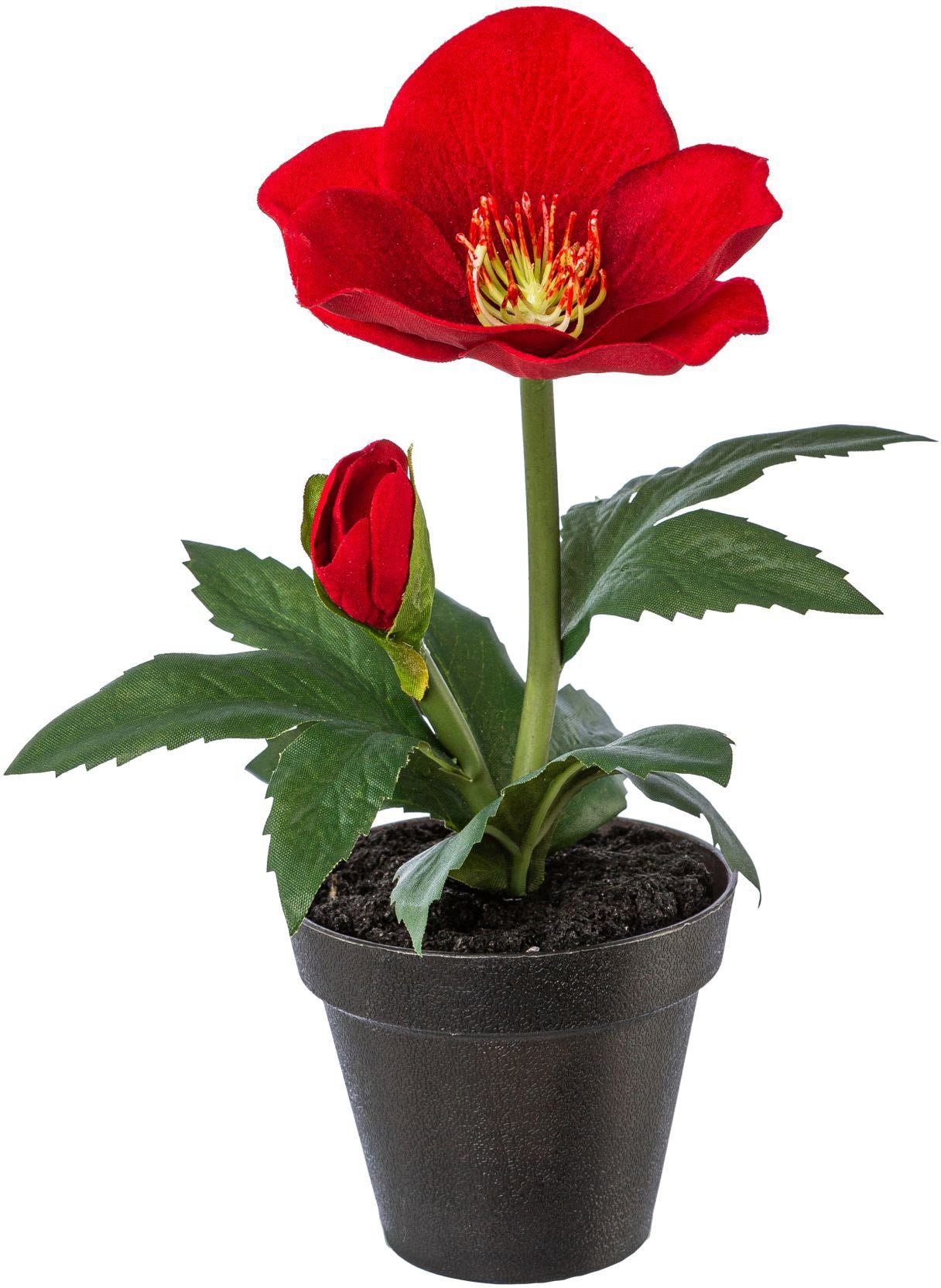 Creativ green Winterse kunstplant Kerst versiering in pot, in 4-delige set (2x kleur rood en 2x kleur wit) (4 stuks)