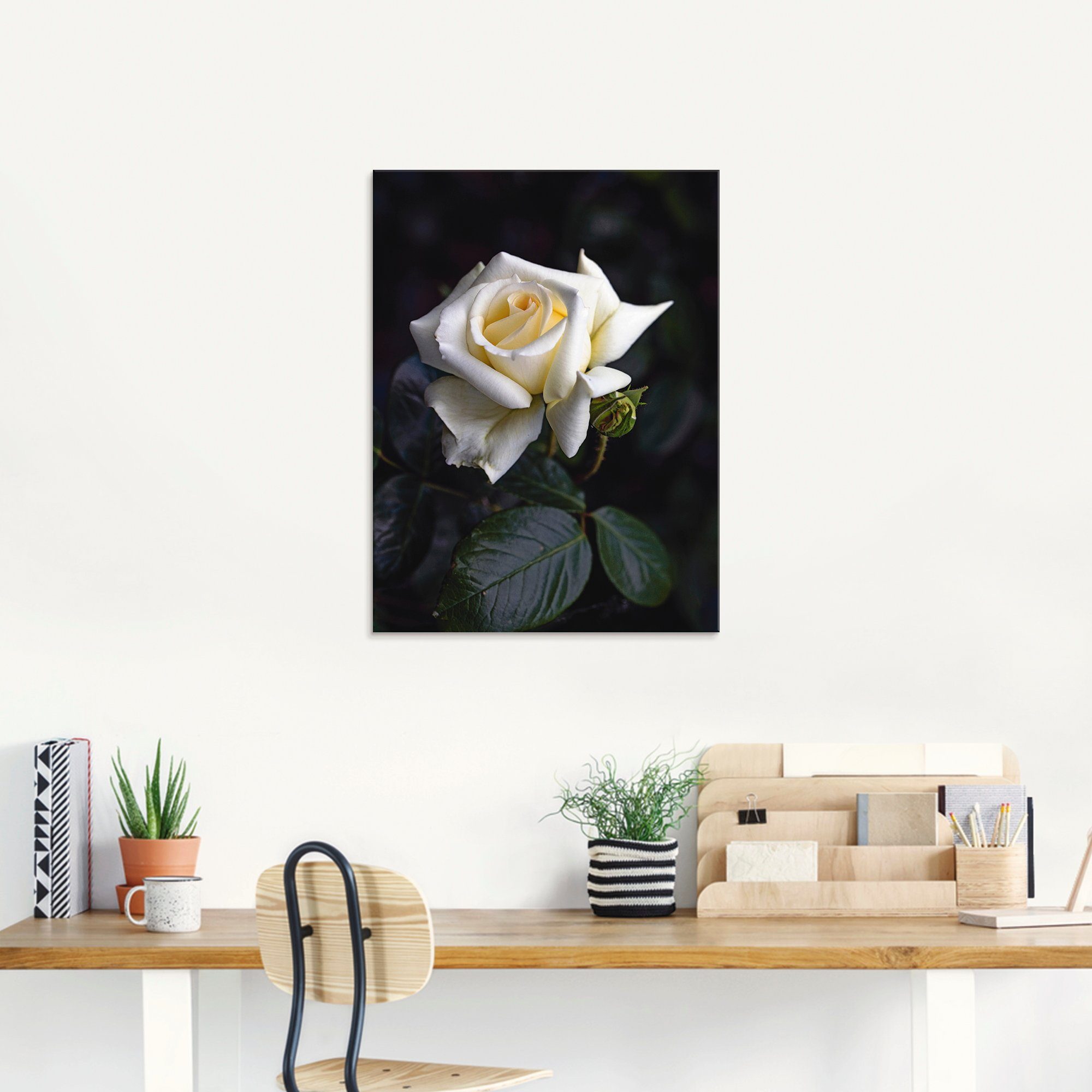 Artland Print op glas Wit-gele roos in verschillende maten