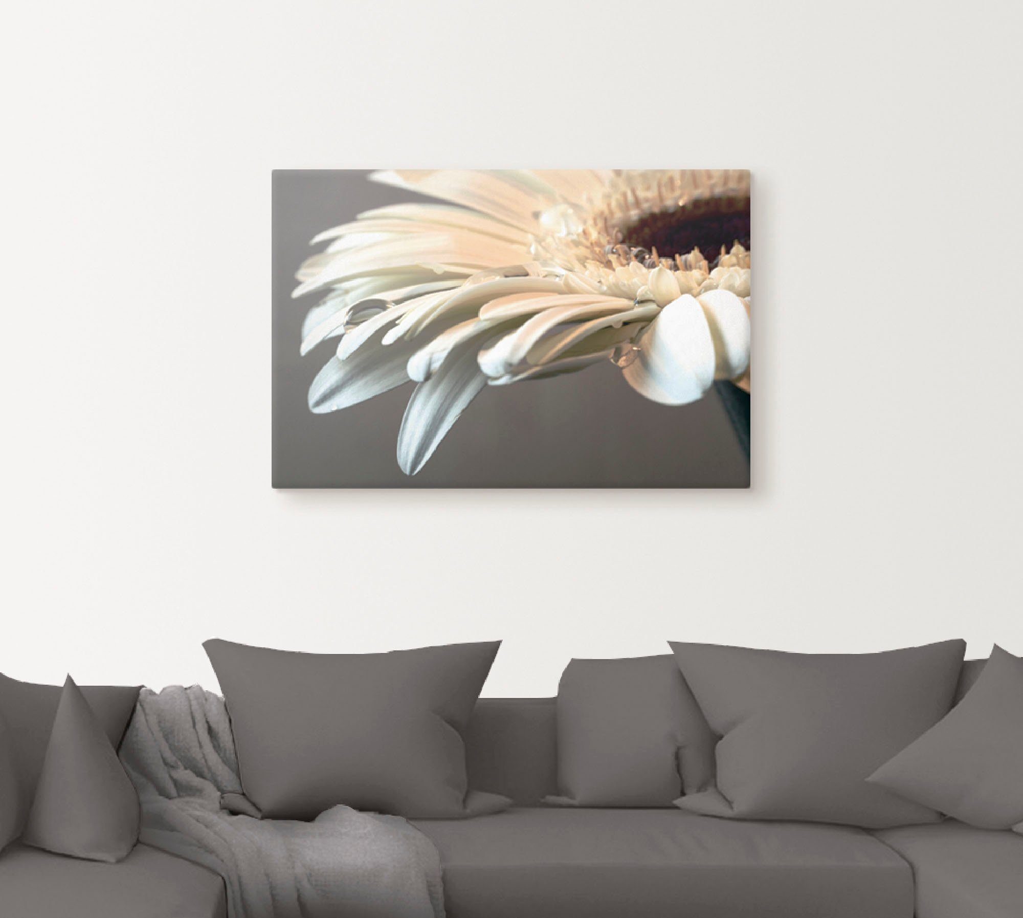Artland Artprint Bloem van een gerbera als artprint op linnen, poster, muursticker in verschillende maten