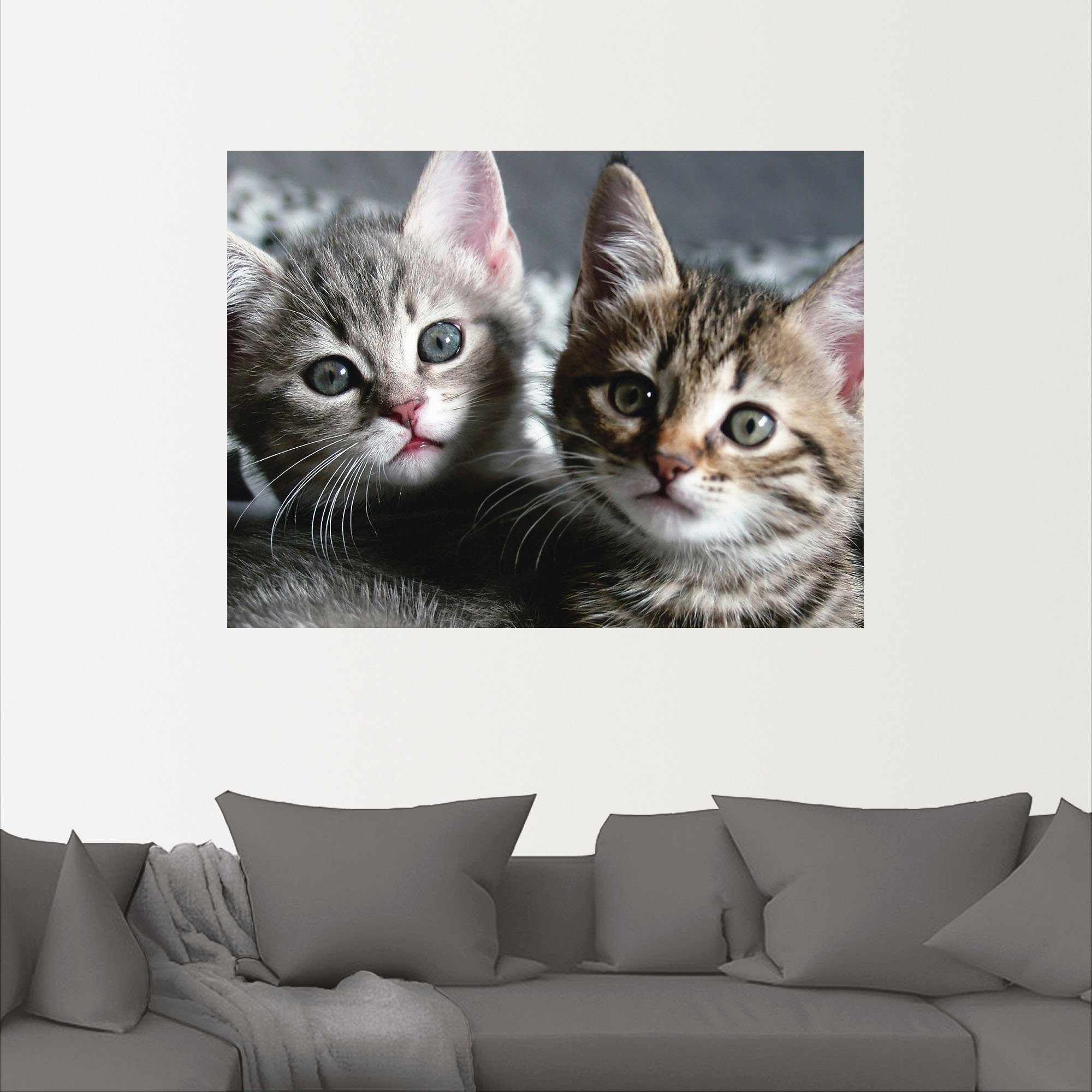 Artland Artprint Kat als artprint van aluminium, artprint voor buiten, artprint op linnen, poster, muursticker