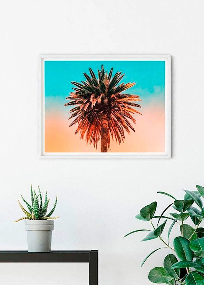 Komar Wanddecoratie Palm tree Wanddecoratie - zonder lijst (1 stuk)
