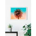 komar poster palm tree hoogte: 50 cm multicolor