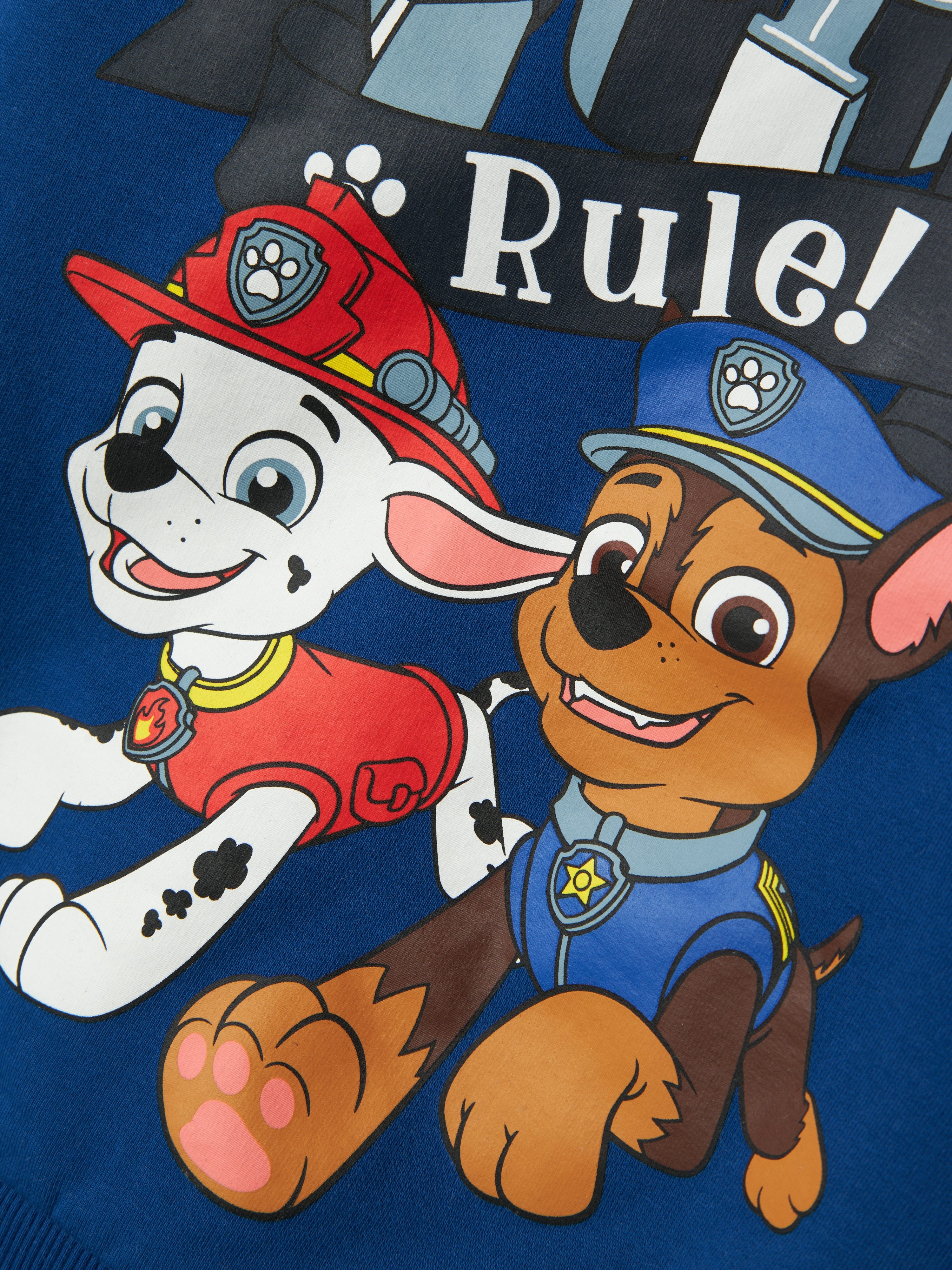 Name It Sweatshirt NMMDAY PAWPATROL NREG SWEA BRU NOOS CPLG
