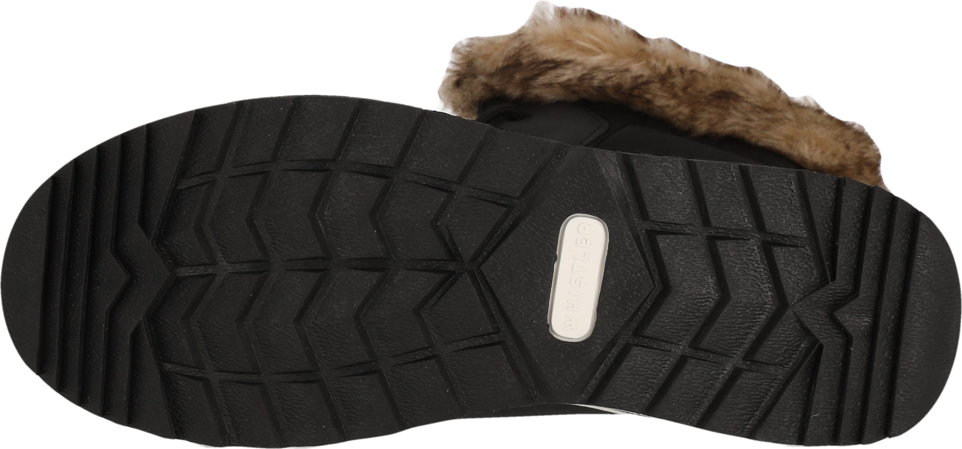 WHISTLER Winterlaarzen Eewye W Boot WP V2