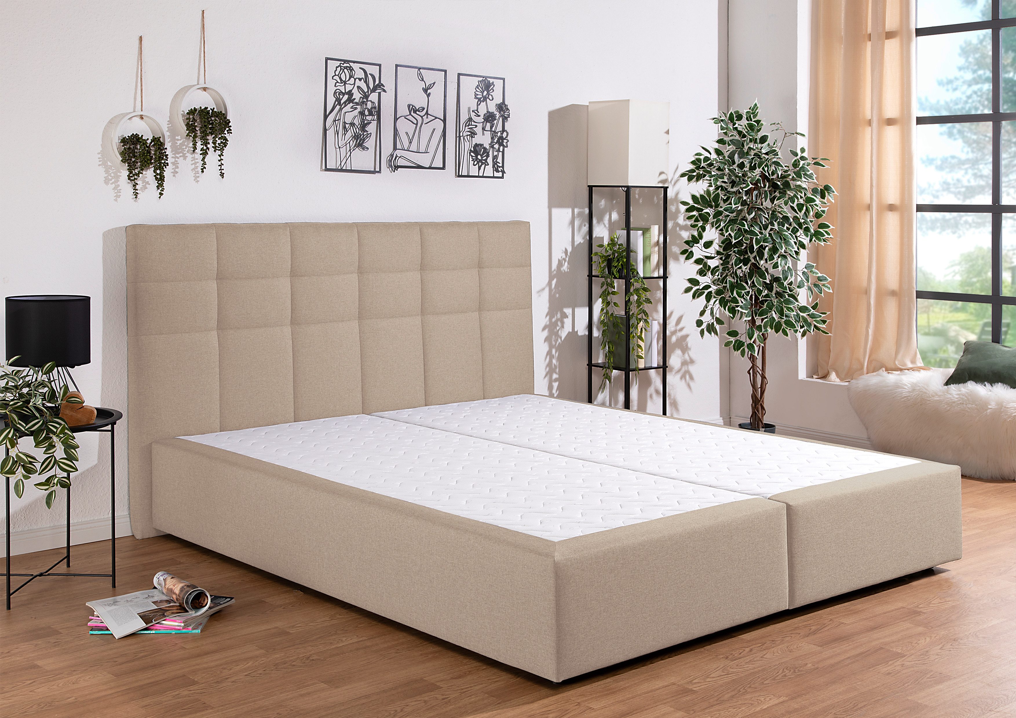 INOSIGN Boxspring OVALO optioneel met bedbox, verkrijgbaar in h2, h3 & h4