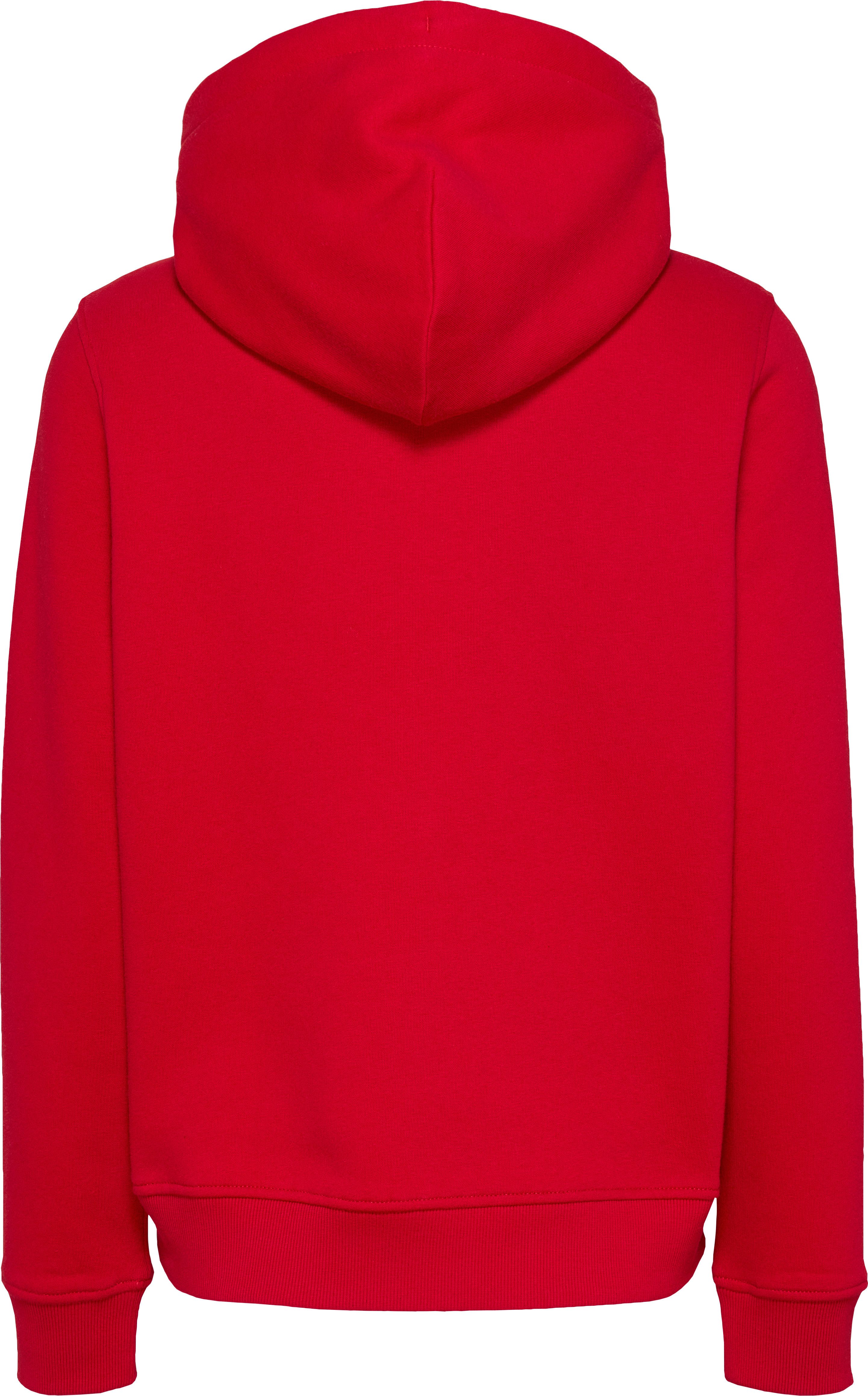 TOMMY JEANS Hoodie TJW REG LINEAR HOODIE met een logo-opschrift
