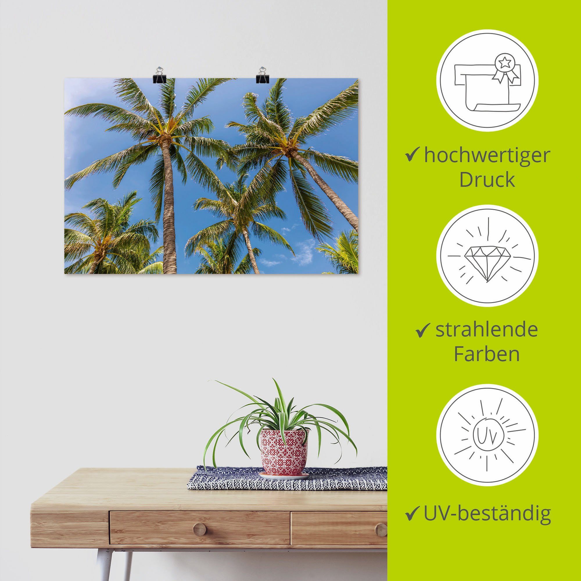 Artland Artprint Palmbomen op het strand als aluminiumfoto, buitenfoto in verschillende maten