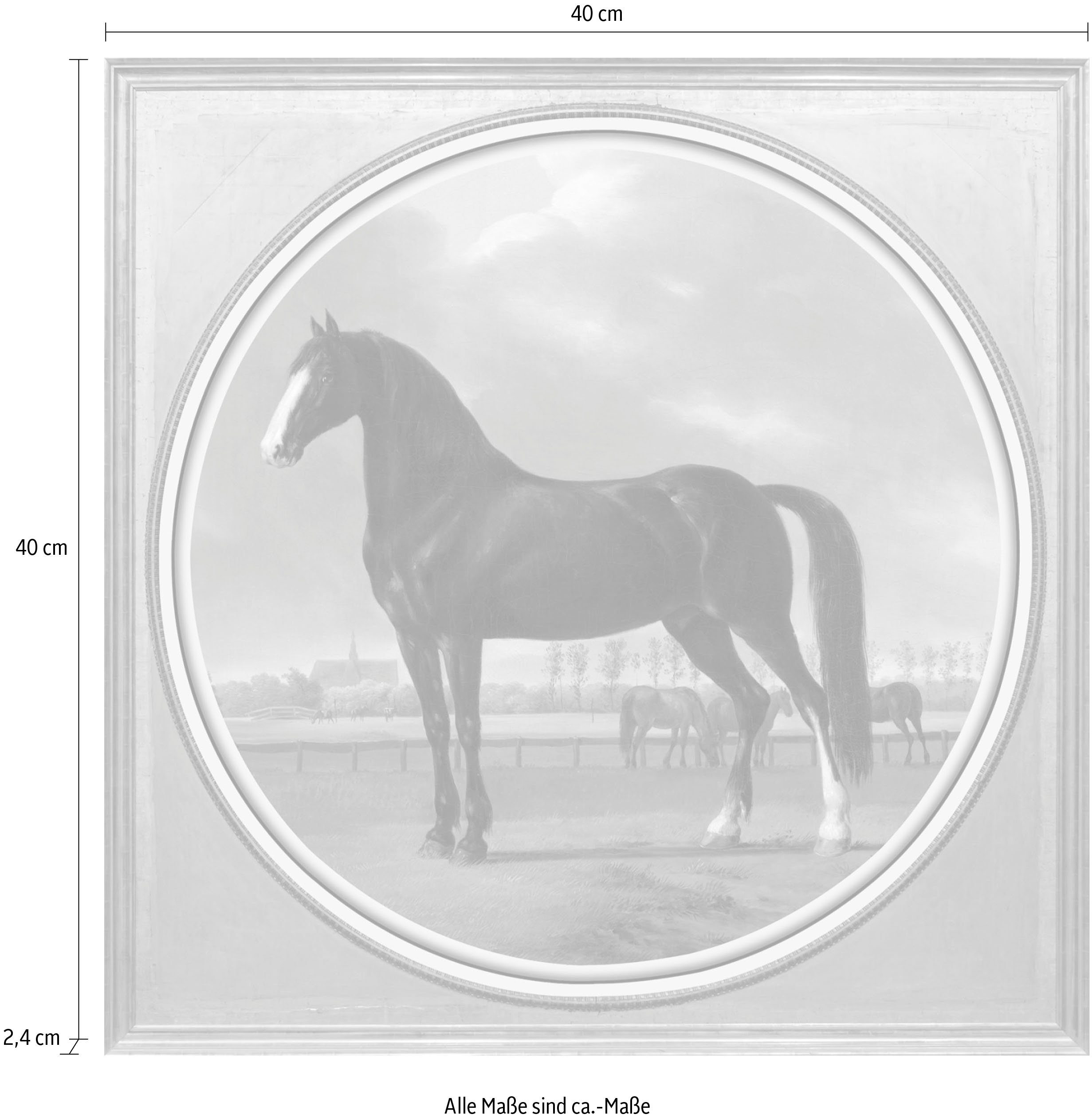 queence Artprint op acrylglas Paard Fine Art-print in galeriekwaliteit