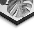 reinders! artprint doen citaat - modern - botanisch - gatenplant (2 stuks) zwart