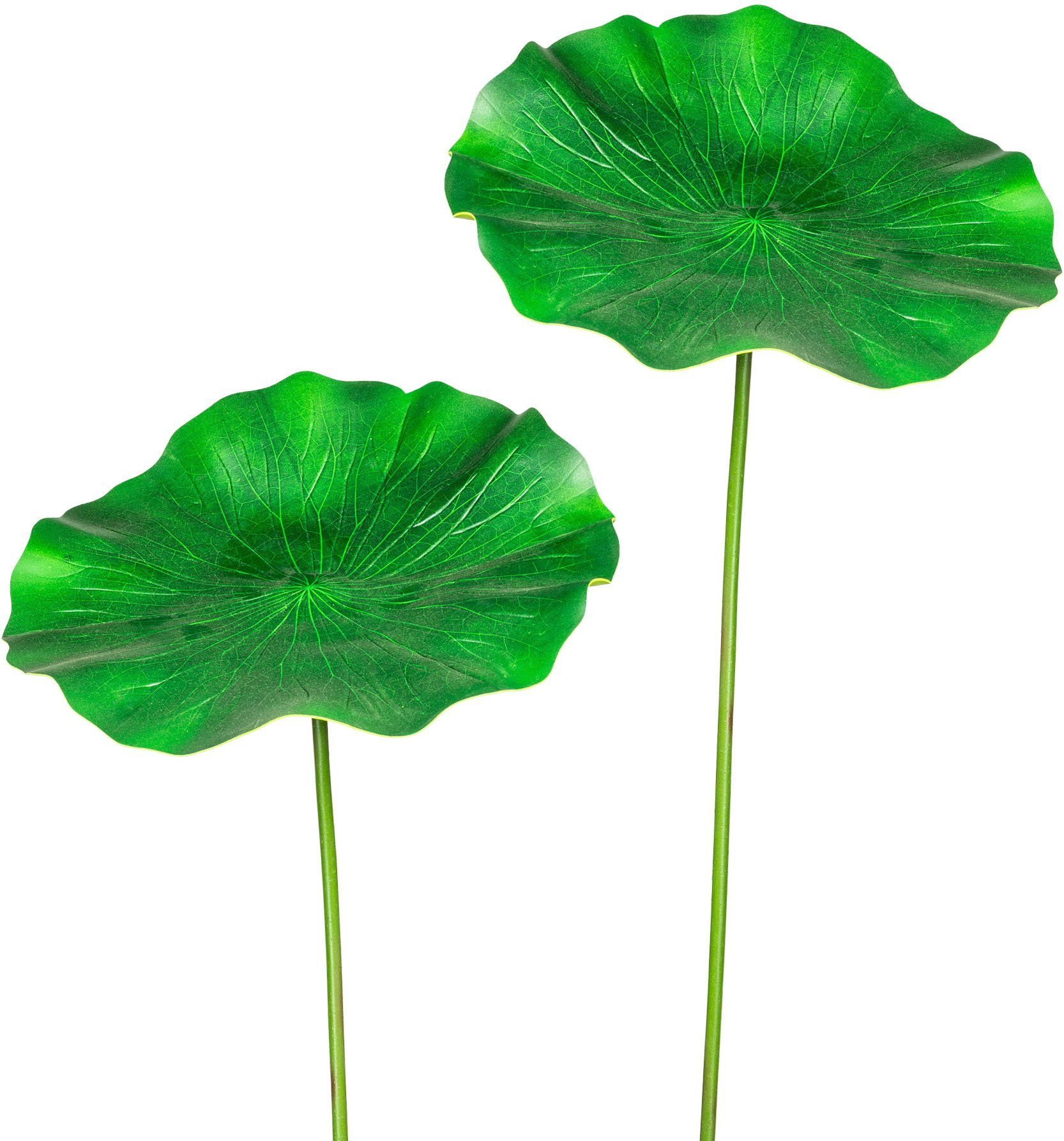 Creativ green Kunsttak Lotusblad set van 2 (2 stuks)