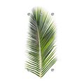 queence kapstok palm met 6 haken, 50 x 120 cm groen