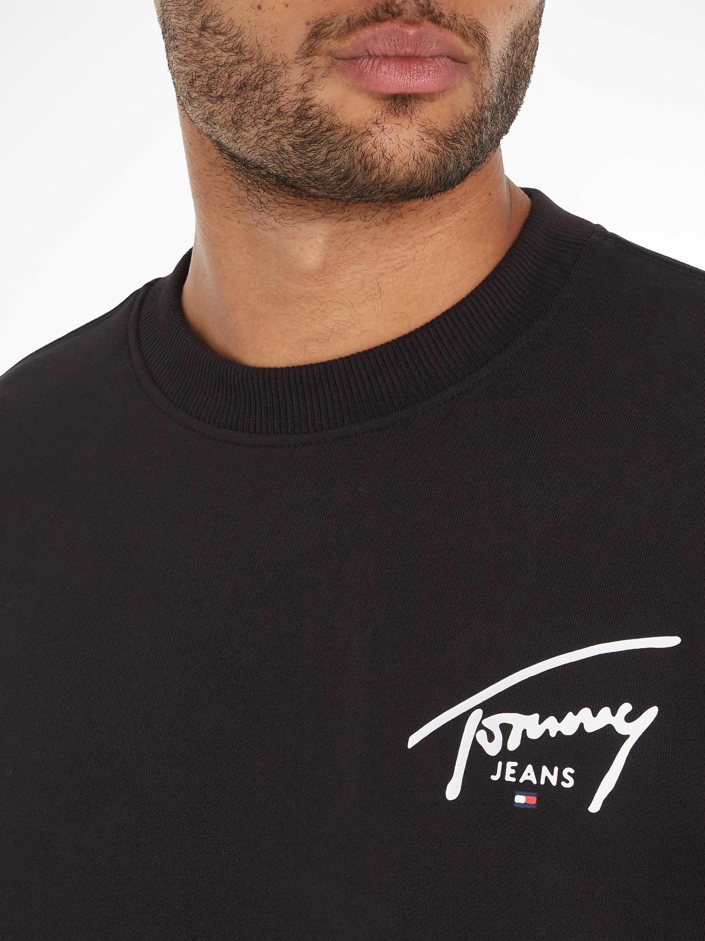 Tommy Jeans Plus Sweater TJM REG ENTRY GRAPHIC CREW EXT Grote maten met logo-inscriptie