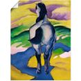 artland artprint blauw paard ii. 1911 in vele afmetingen  productsoorten - artprint van aluminium - artprint voor buiten, artprint op linnen, poster, muursticker - wandfolie ook geschikt voor de badkamer (1 stuk) geel