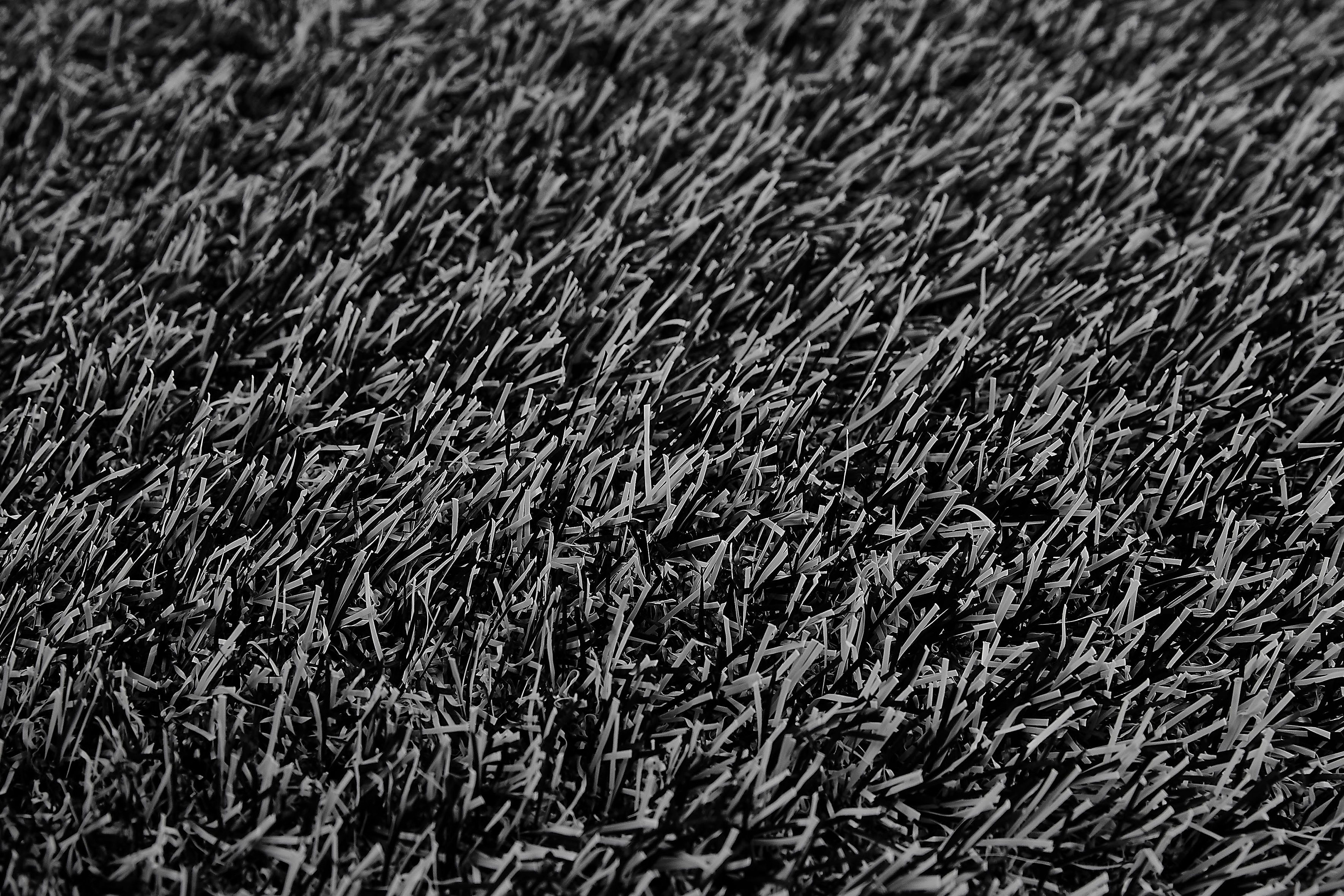 Andiamo Kunstgras Trendy, Made in Netherlands Grastapijt, moderne uitstraling, met afvoer gaten, duurzaam (1 stuk)