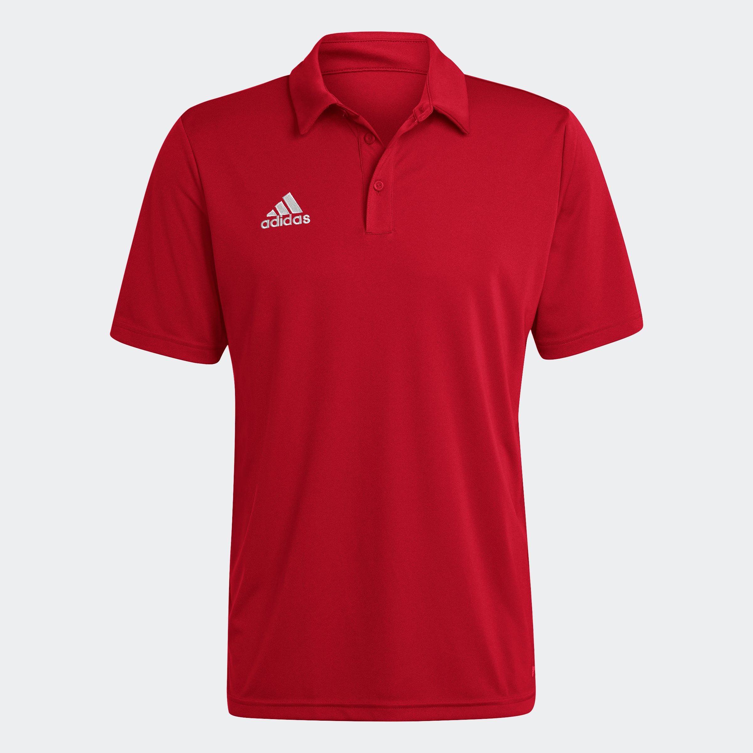 adidas Performance Poloshirt ENT22 POLO
