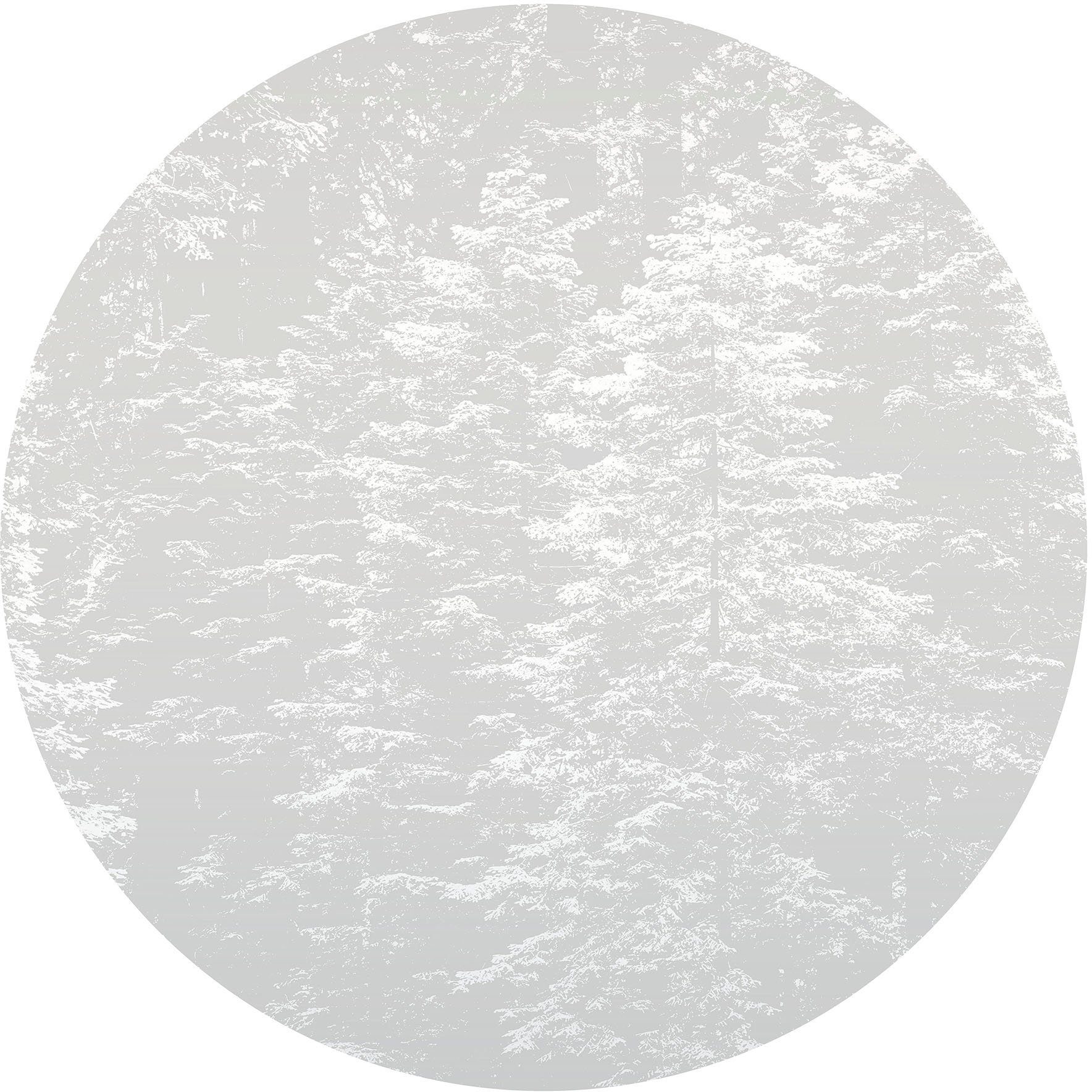 Fashion for walls Fotobehang Hazy Pines Ftalaten vrij