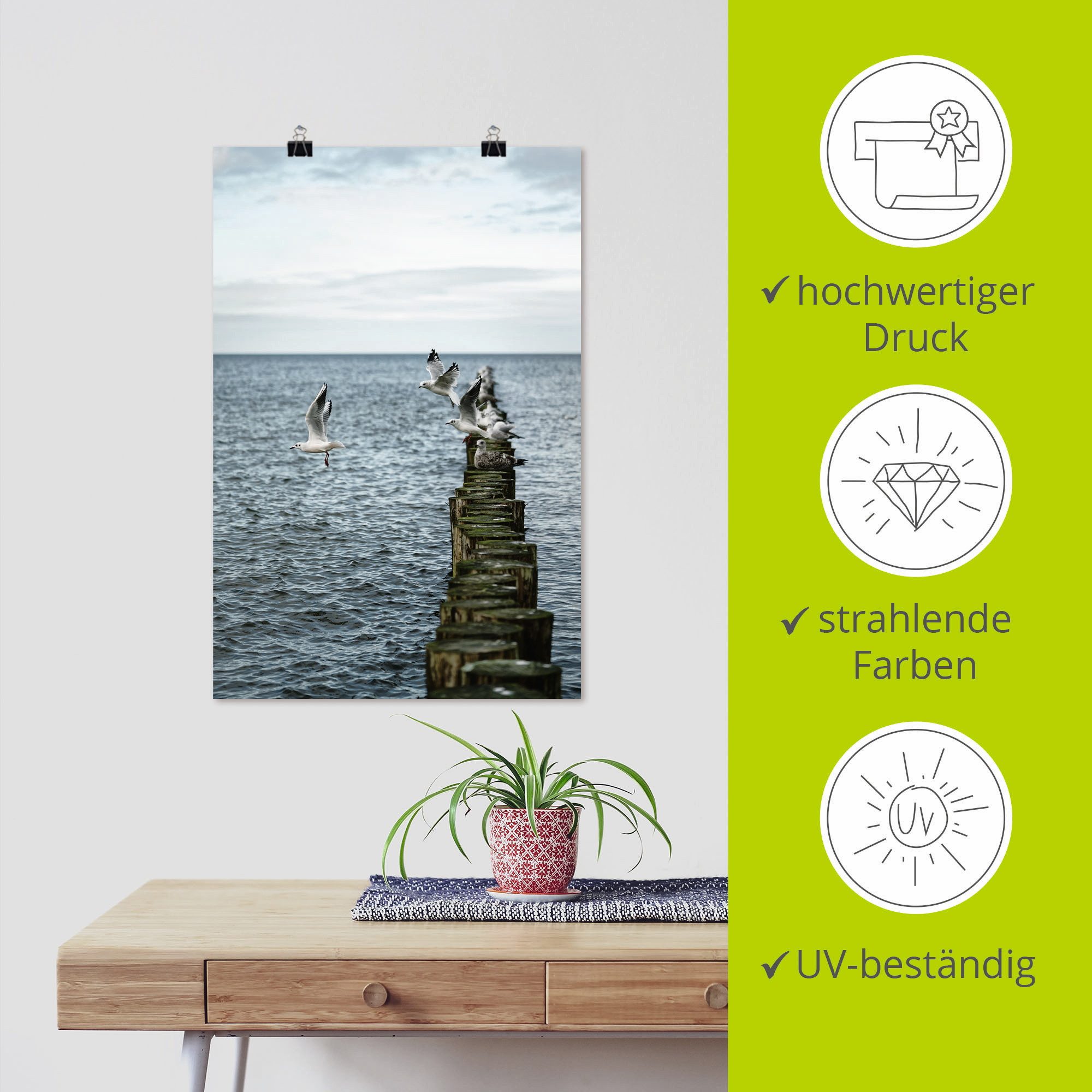 Artland Artprint Möwen starten von einer Buhnenreihe als artprint van aluminium, artprint voor buiten, poster in diverse formaten