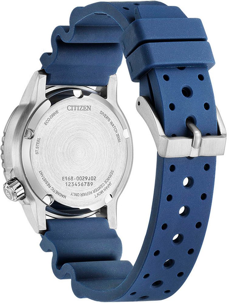 Citizen Duikhorloge Promaster Eco-Drive Diver Polshorloge, dames, solar, tot 20 bar waterdicht