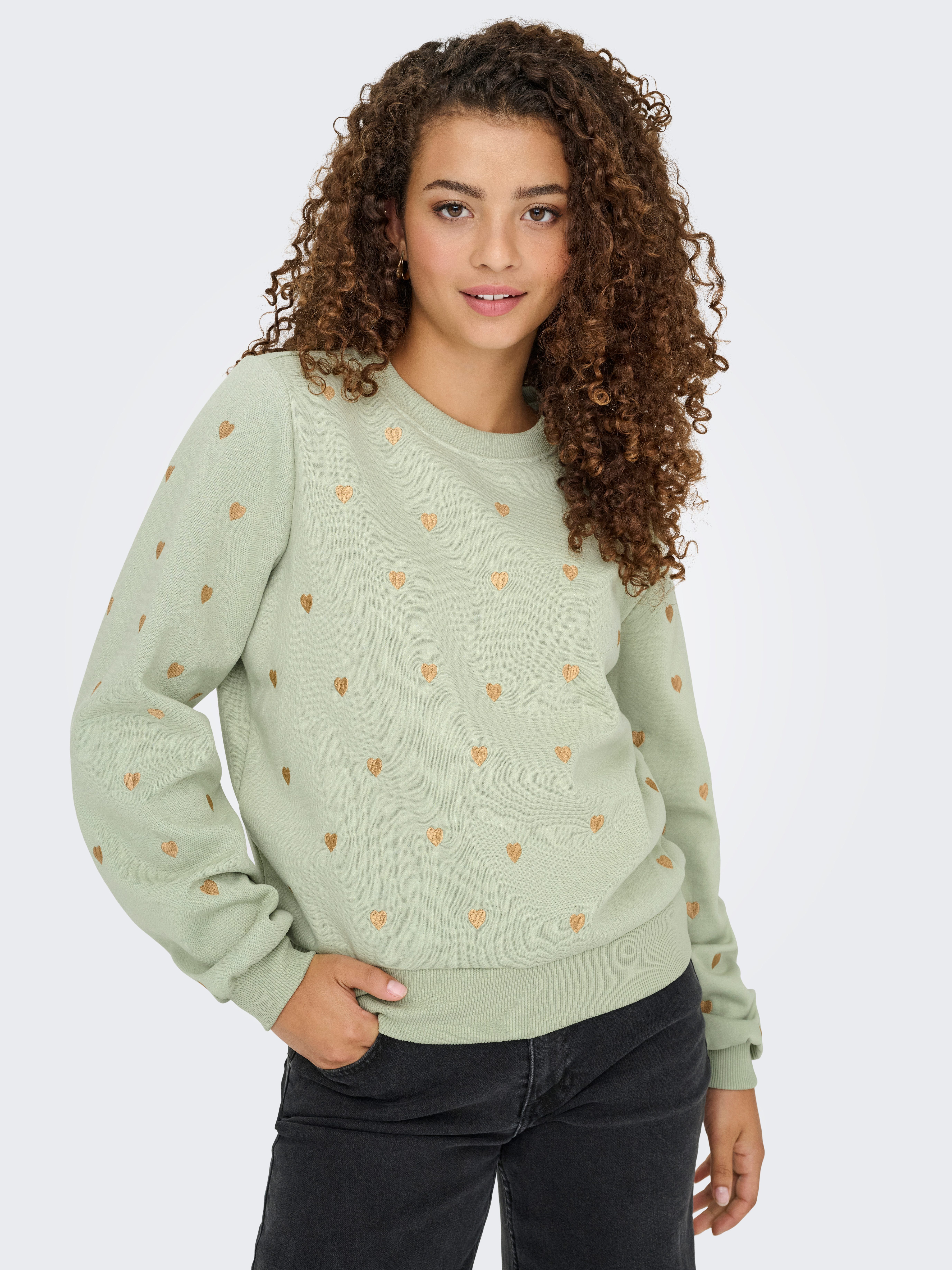 Only Sweatshirt ONLATIKA L/S O-NECK GLITTER EMB. BOX SWT