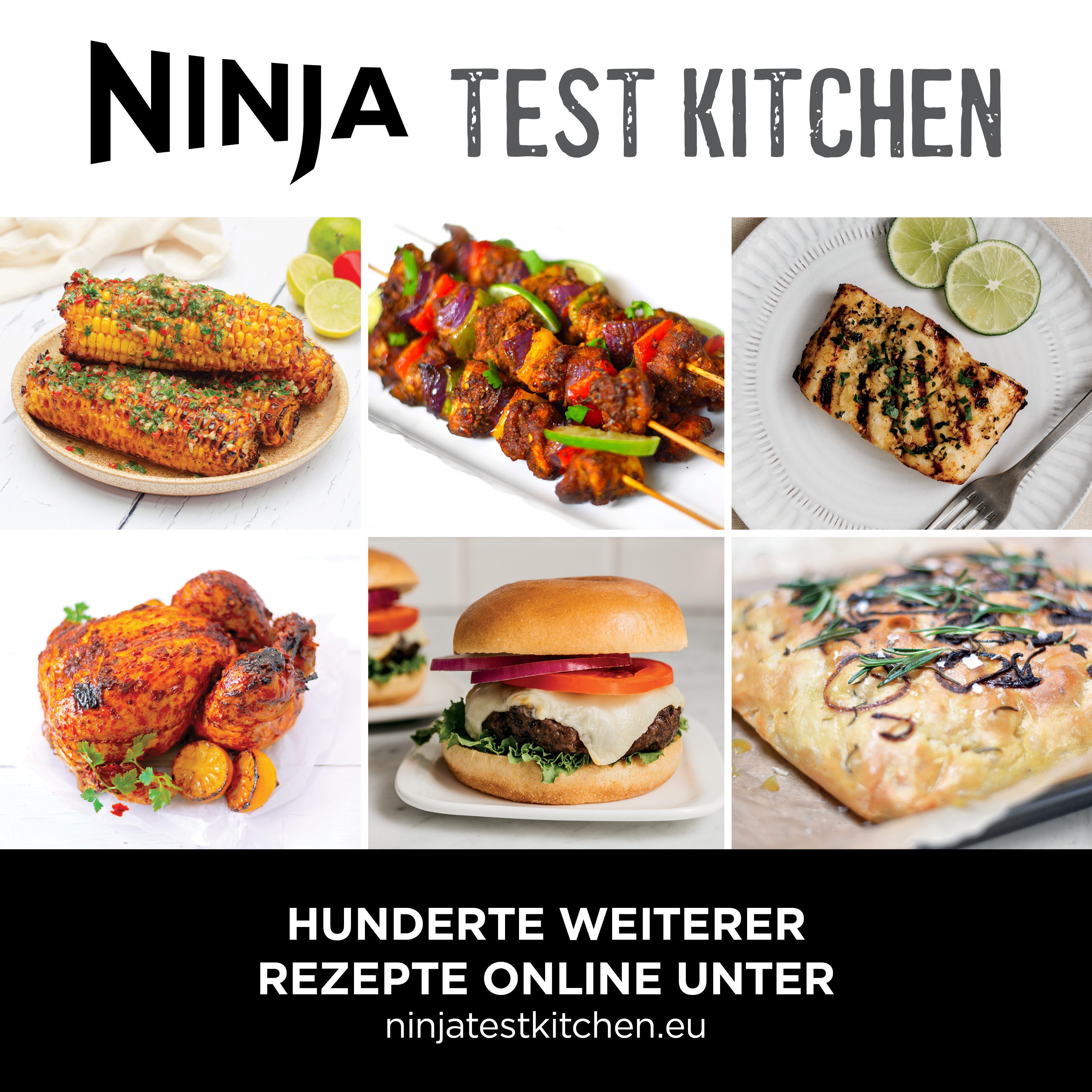 NINJA Tafelgrill EG351EU