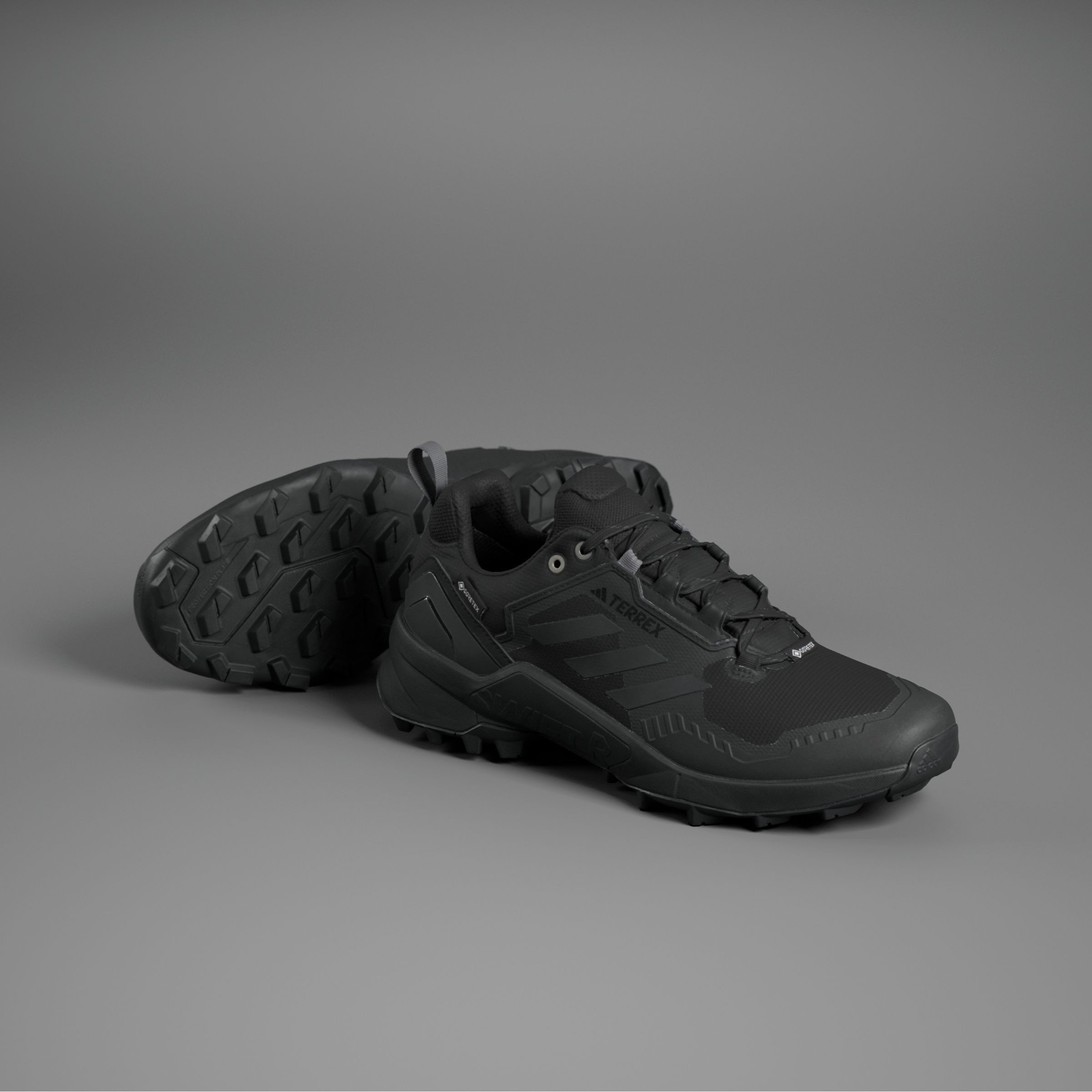 adidas TERREX Wandelschoenen TERREX SWIFT R3 GORE-TEX