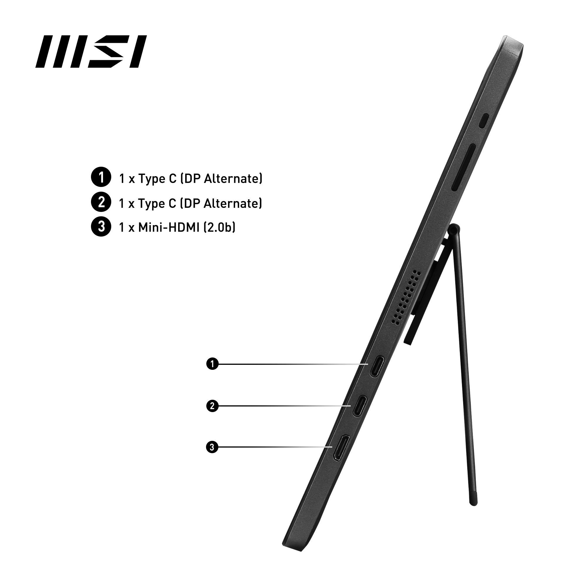 MSI Ledscherm PRO MP161 E2, 40 cm / 16", Full HD