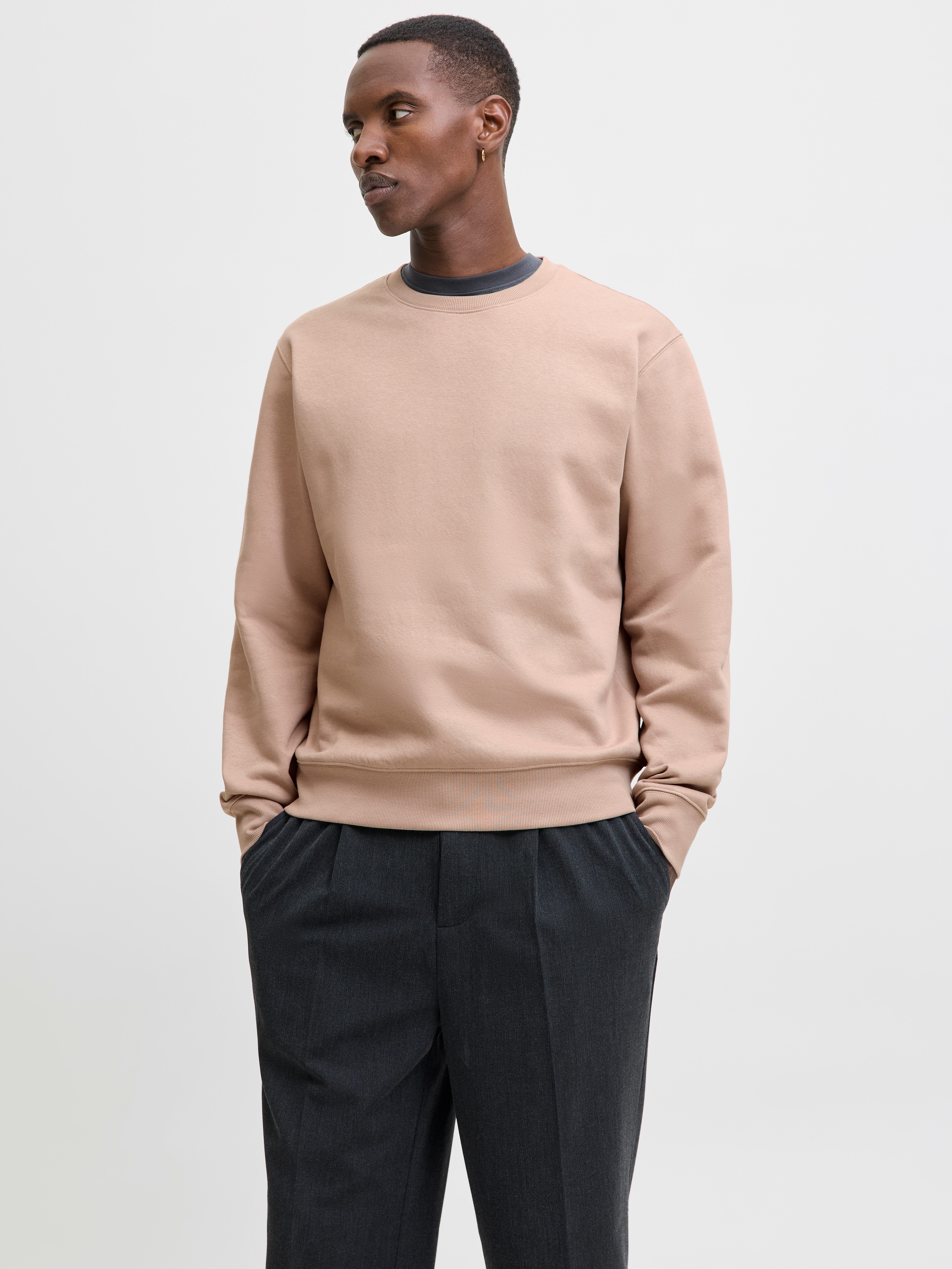 Jack & Jones Sweatshirt JJESTAR BASIC SWEAT CREW NECK NOOS