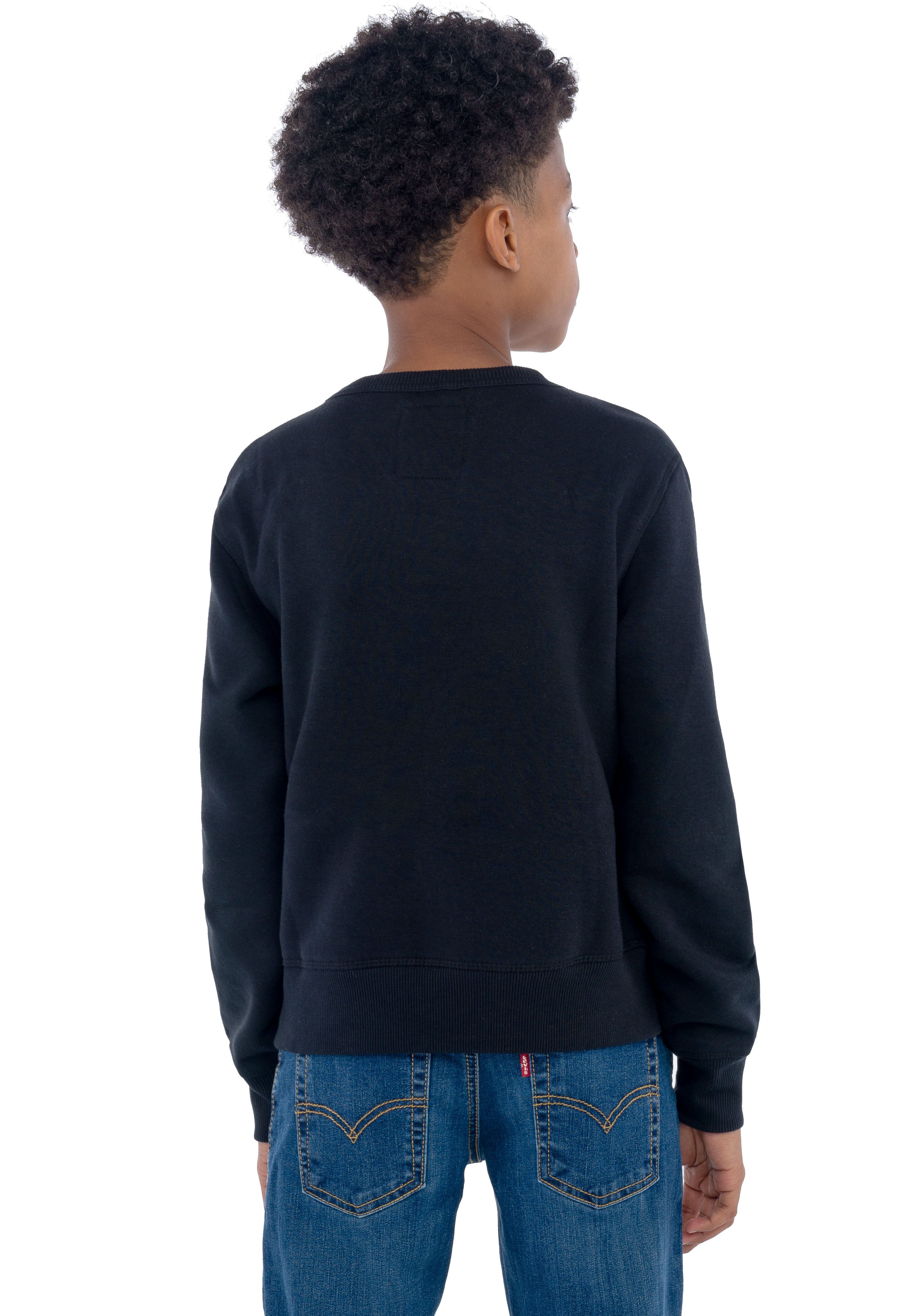 Levi's Kidswear Sweatshirt LVB LVB FRENCH TERRY BATWING