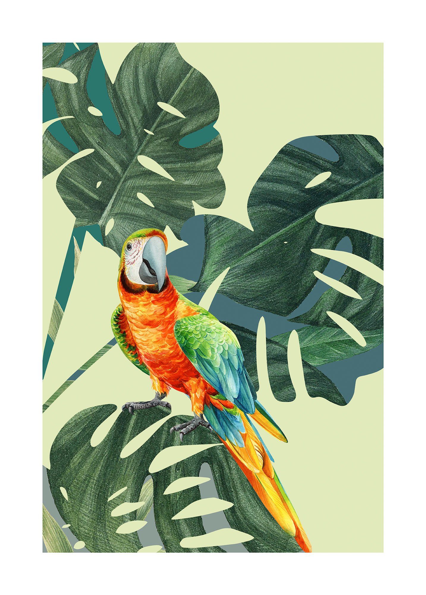 Komar Poster Green-Winged Macaw