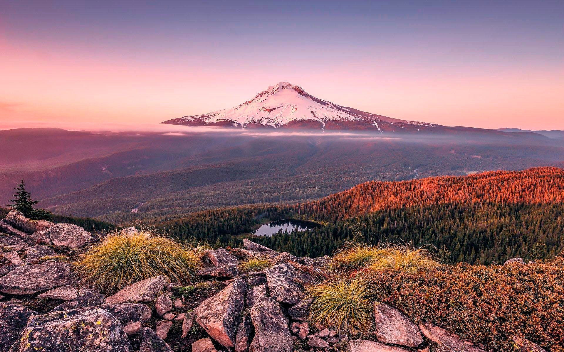 Komar Vliesbehang Digitale print vlies - Kingdom of a Mountain - Afmeting 400 x 250 cm (1 stuk) zelfklevend behang bruin