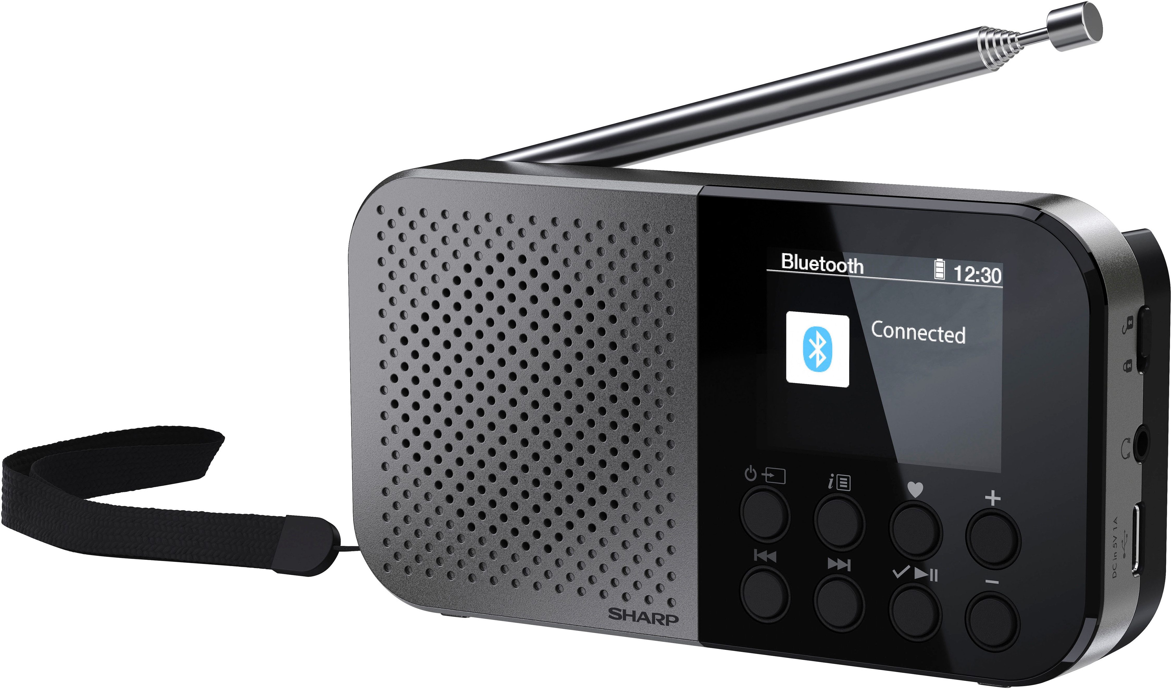 Sharp Radio DR-P520