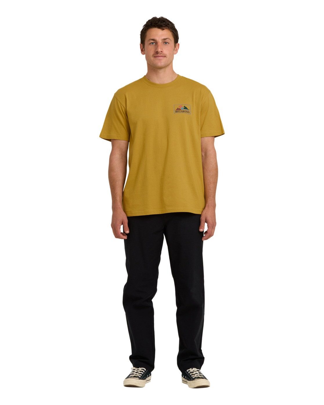 Billabong T-shirt Range A/DIV