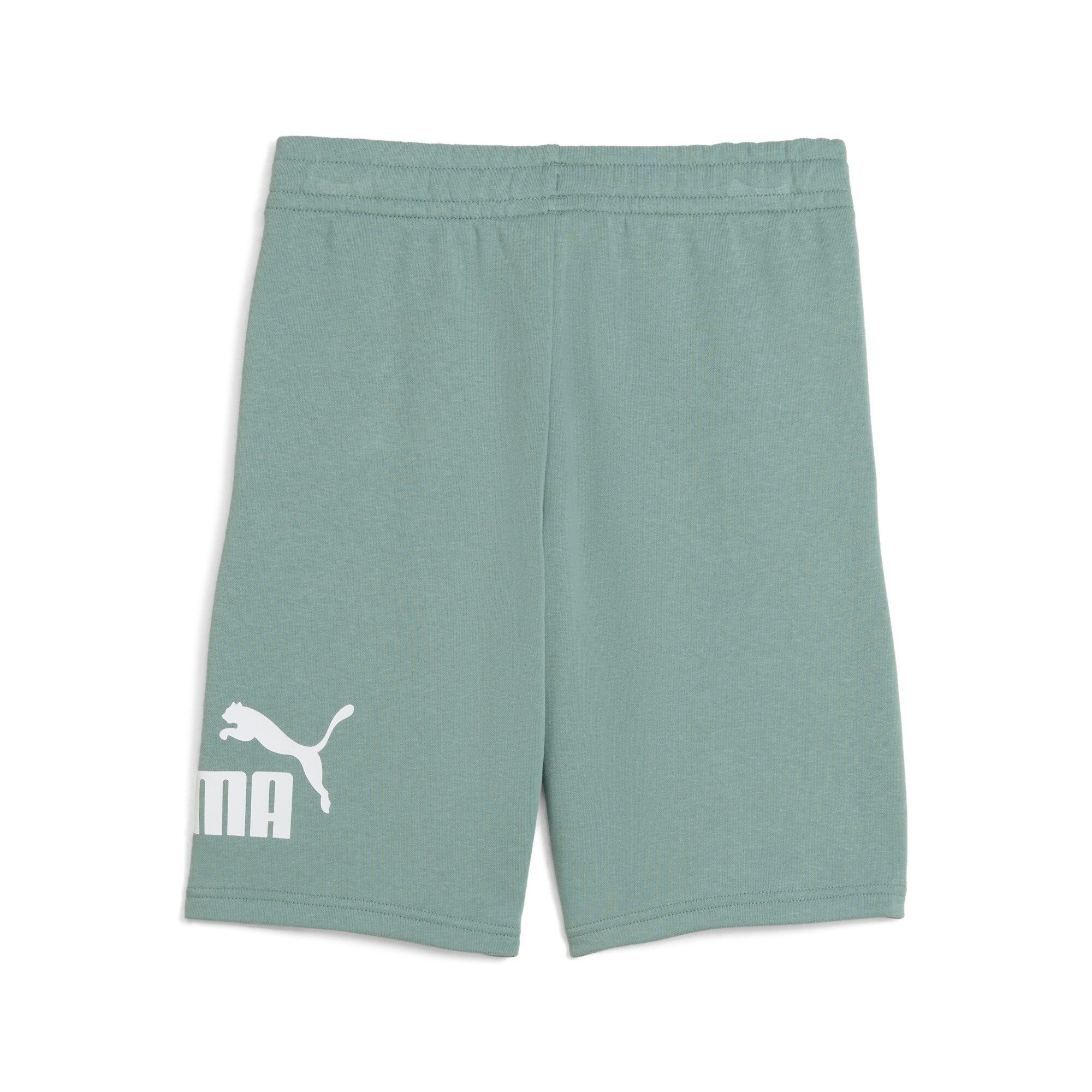 PUMA Trainingsshort ESS NO. 1 LOGO SHORTS TR B