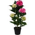 creativ green kunstplant hortensia in een plastic pot roze