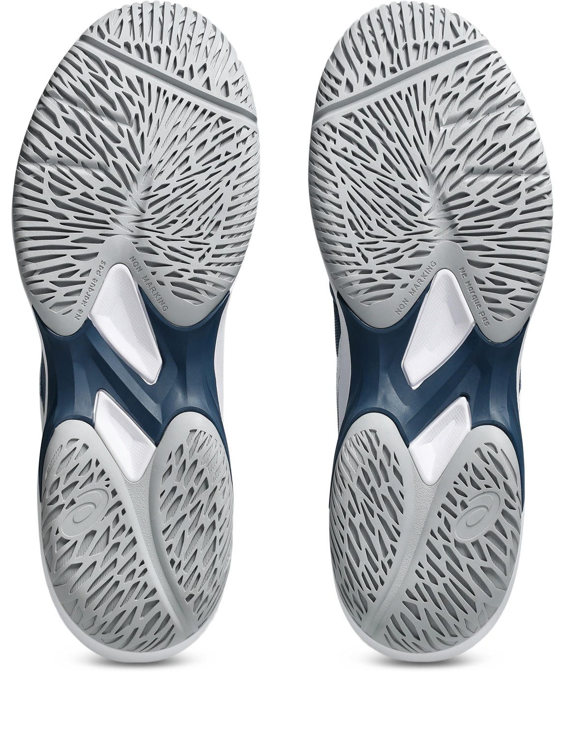 Asics Zaalschoenen COURT HUNTER FF