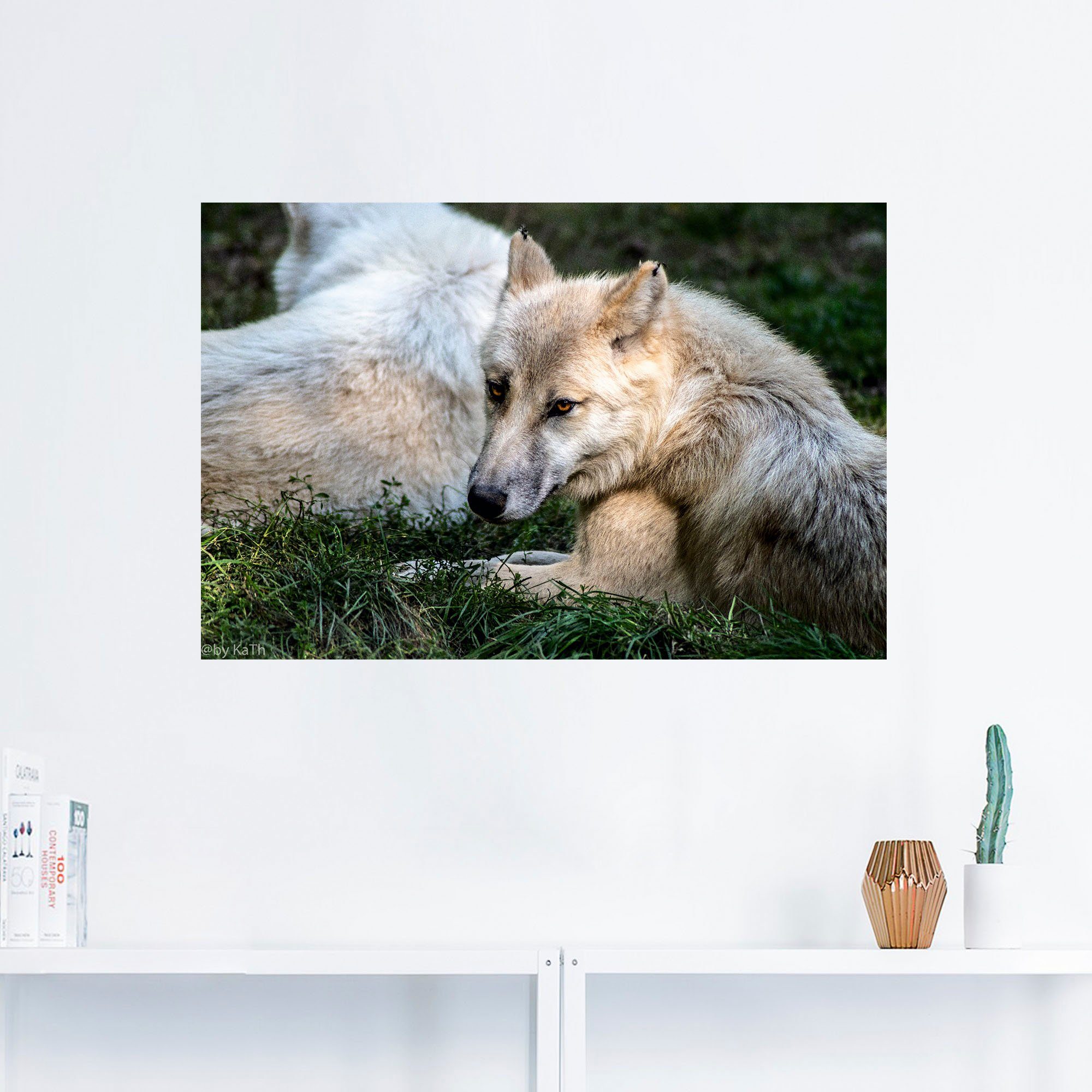 Artland Artprint Wolf II als artprint van aluminium, artprint op linnen, muursticker of poster in verschillende maten