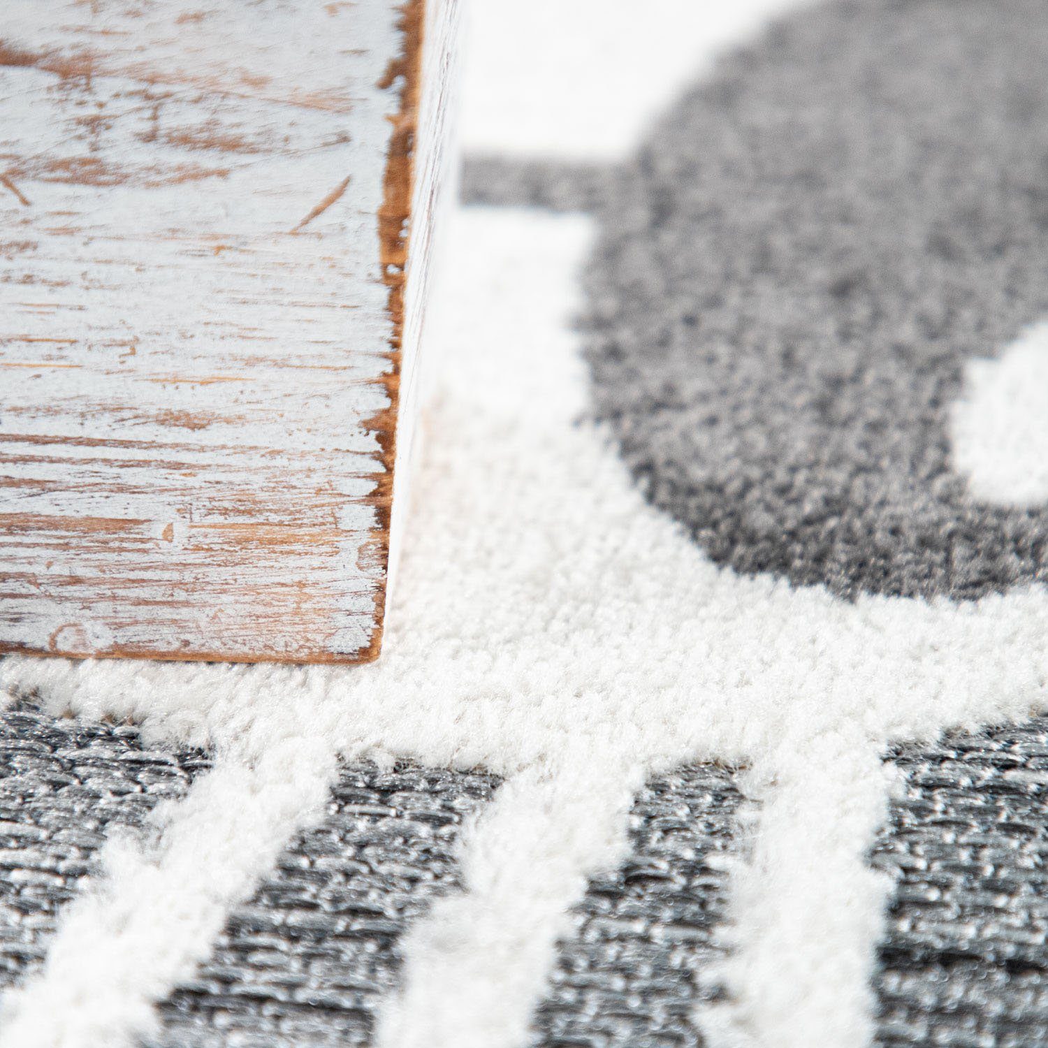 Paco Home Kindervloerkleed Tweet 464 Platweefsel, reliëfeffect, motief leeuw, geschikt voor binnen en buiten