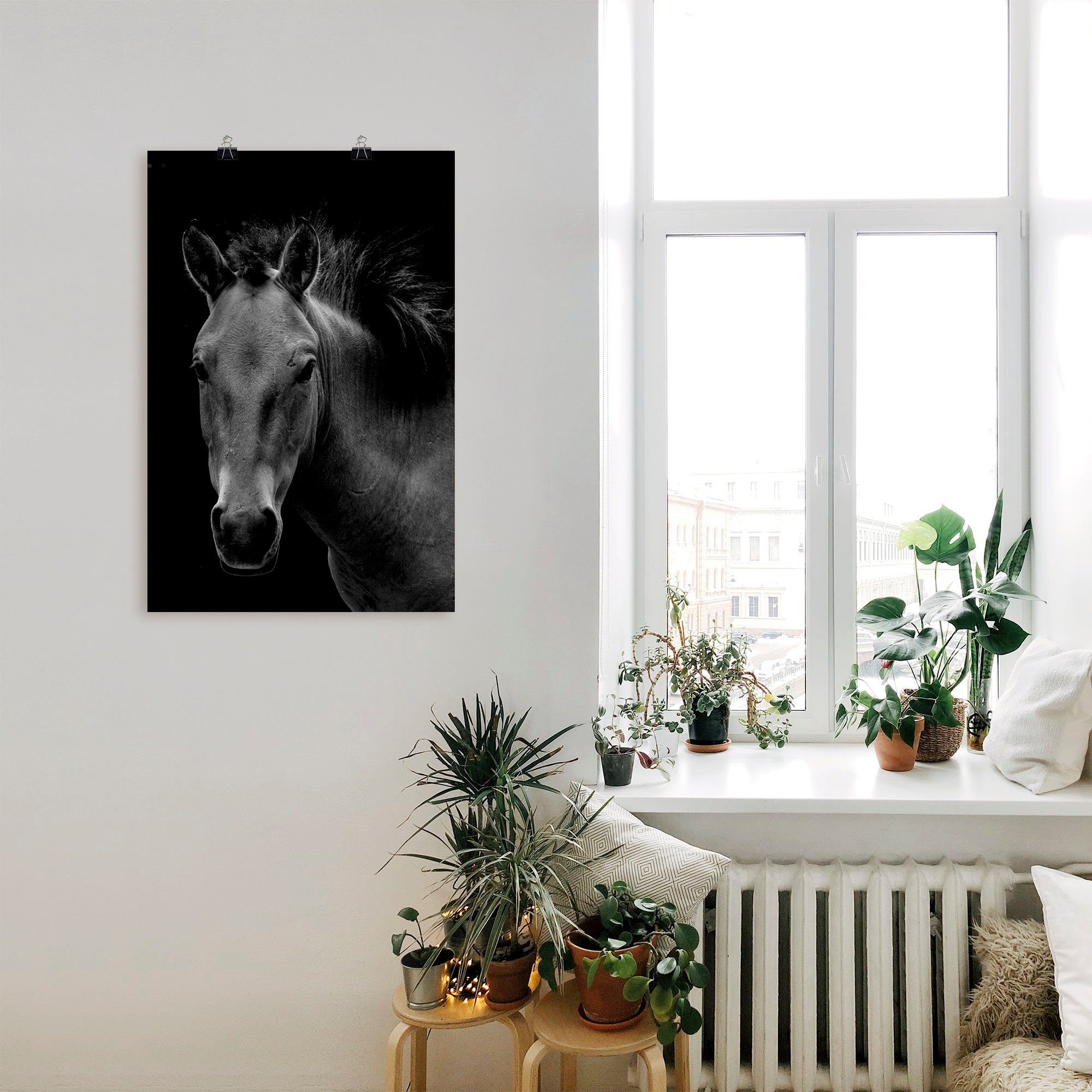 Artland Poster Wild paard als artprint van aluminium, artprint op linnen, muursticker of poster in verschillende maten