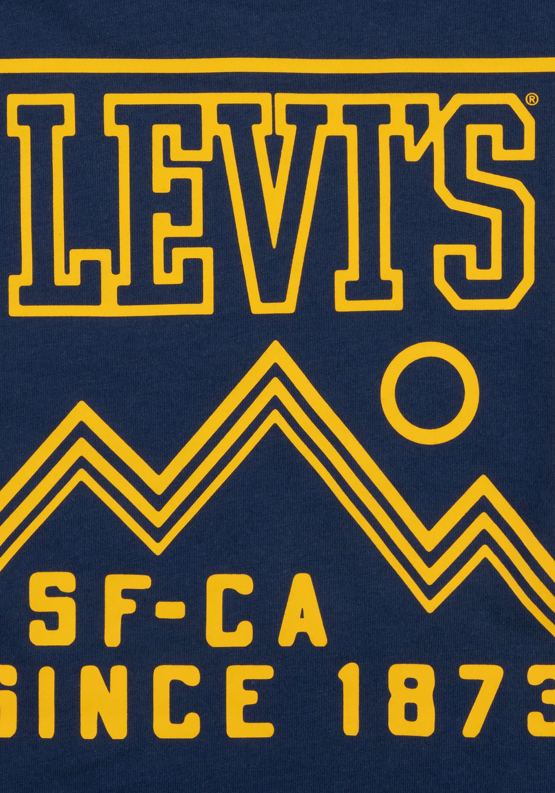 Levi's Kidswear Shirt met lange mouwen met rugprint voor jongens