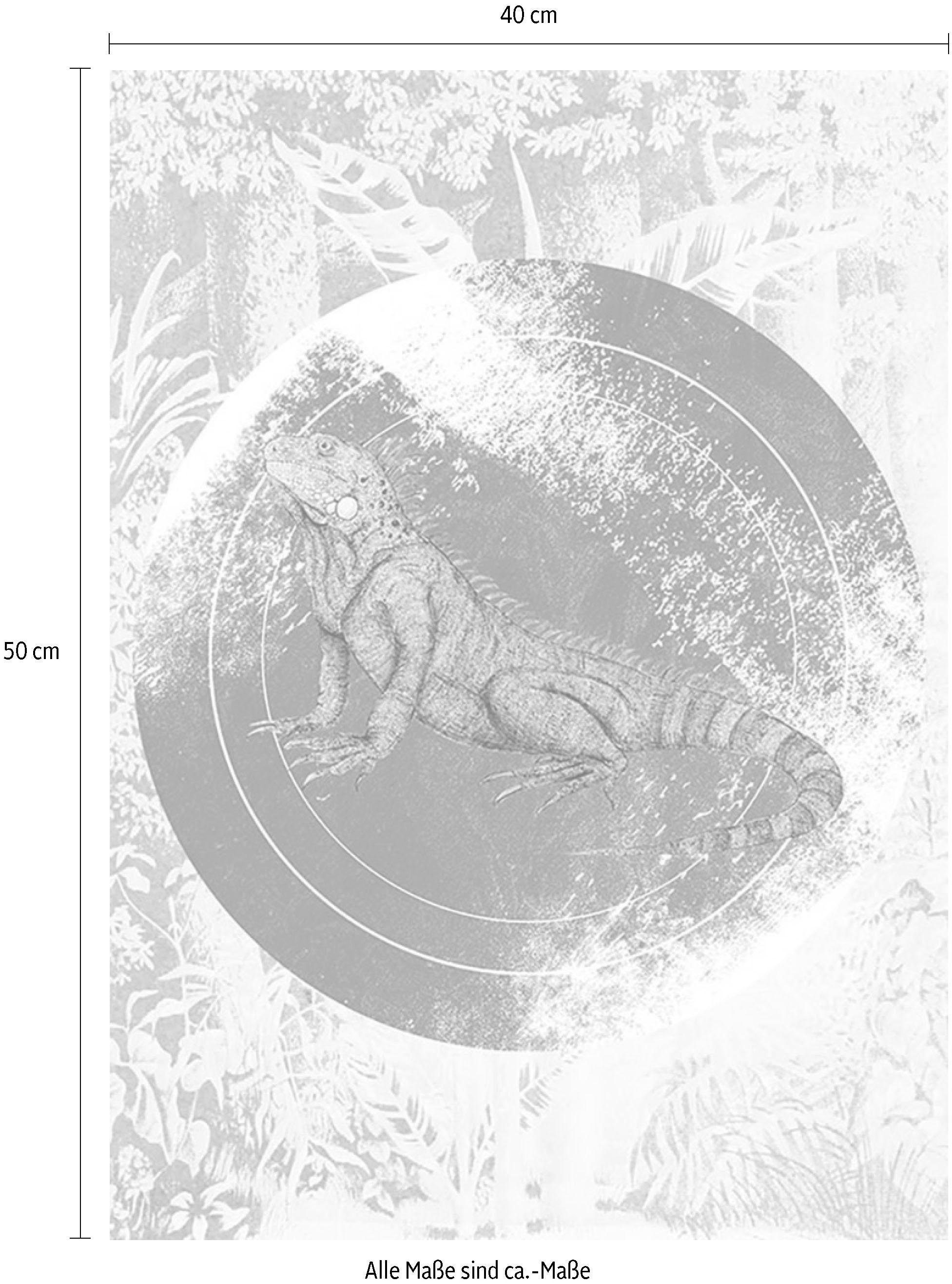 Komar Wanddecoratie Iguana Circle Wanddecoratie - zonder lijst (1 stuk)